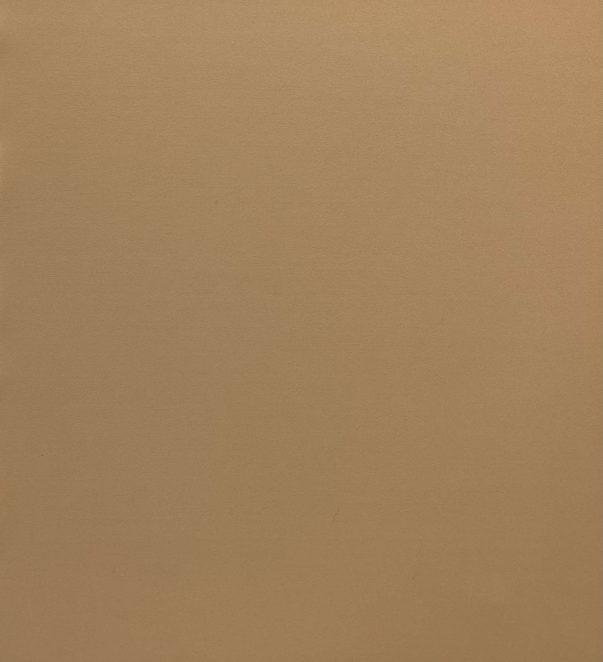 Heavy Matte Spandex in Nude