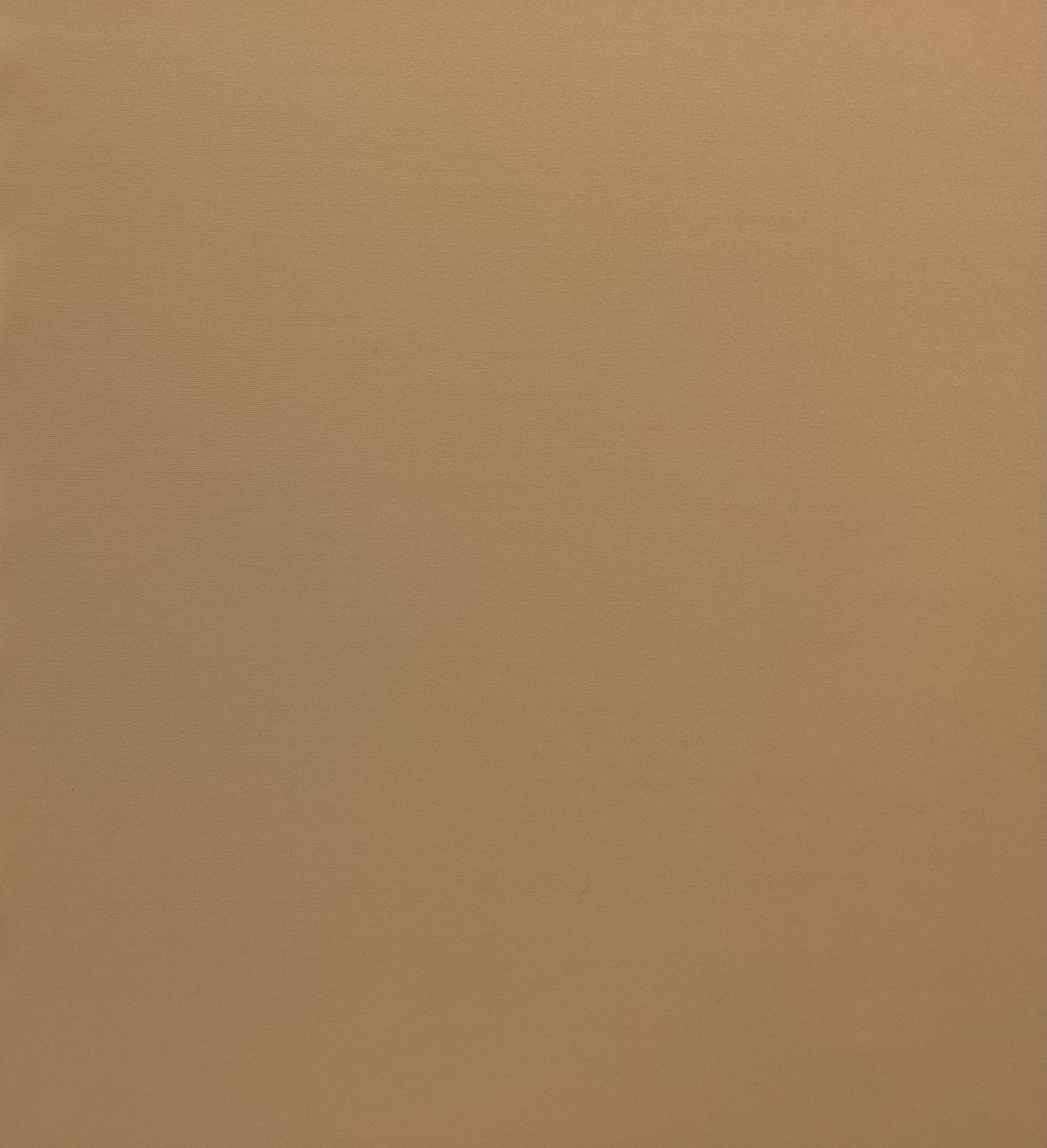 Heavy Matte Spandex in Nude