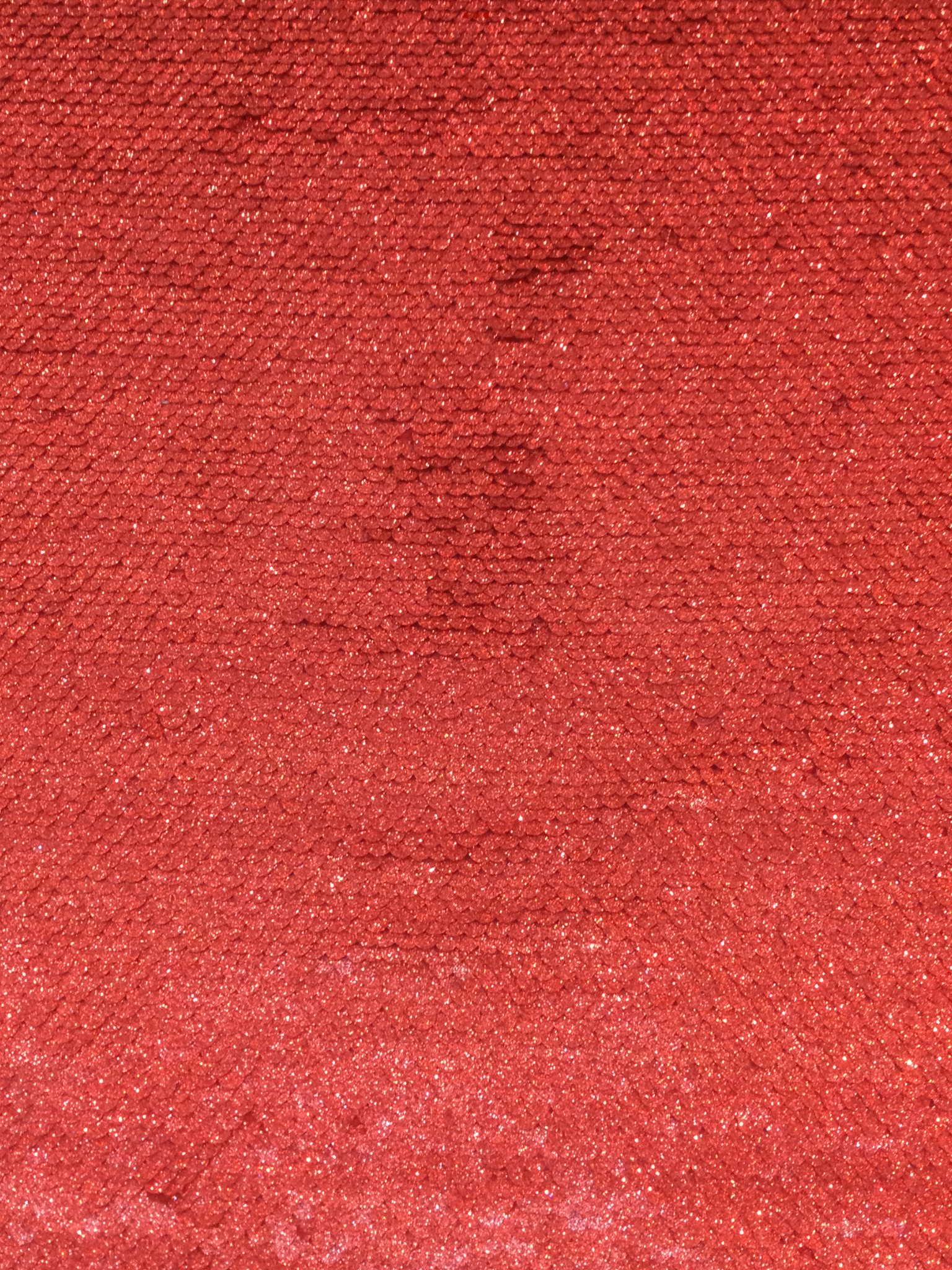 Hologram Fishscale Sequined Jersey in Red
