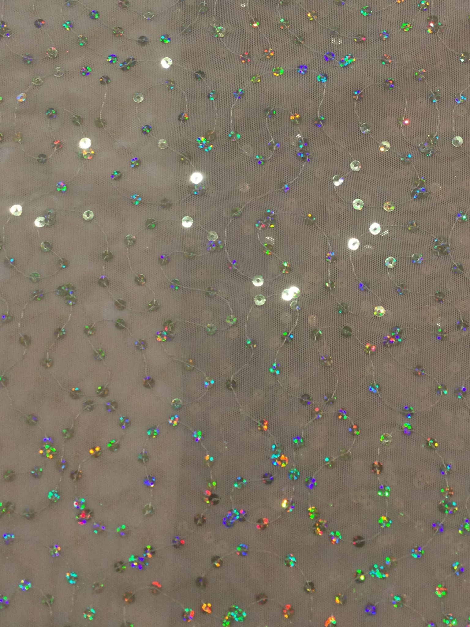 Hologram Sequins on Stretch Tulle