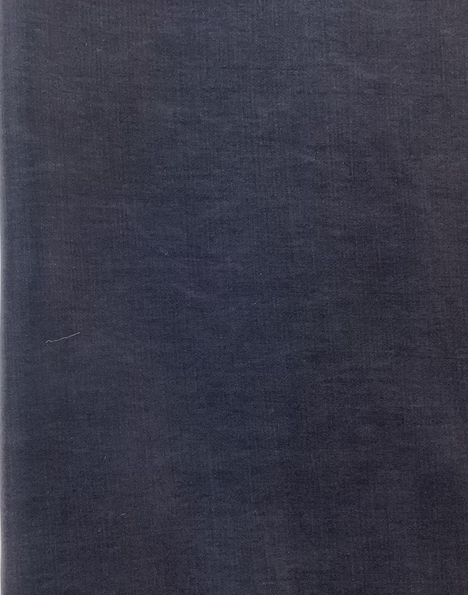 Made in Japan Sandwashed Cupro Sateen in Navy