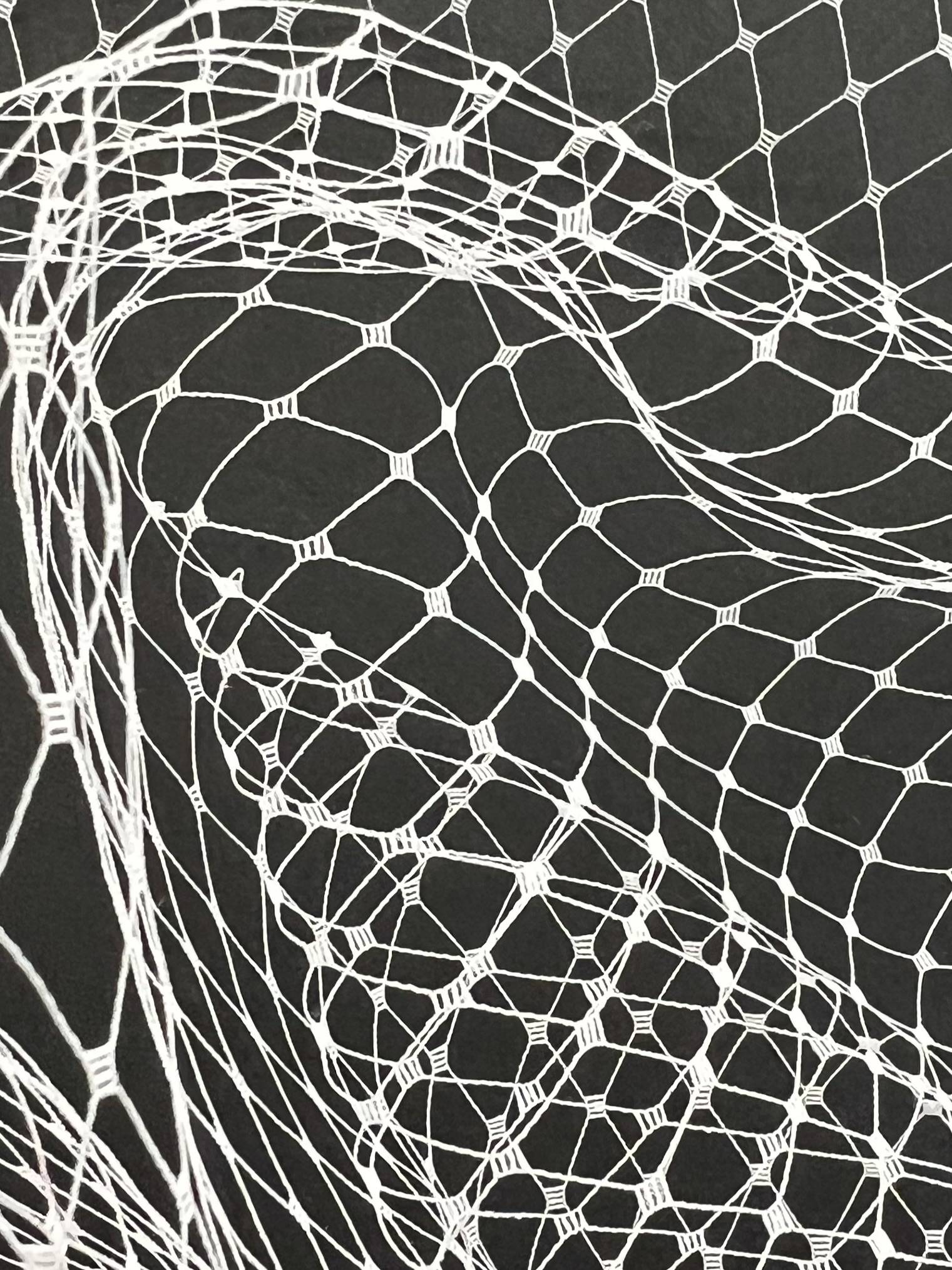Nylon Birdcage Net in Optic White