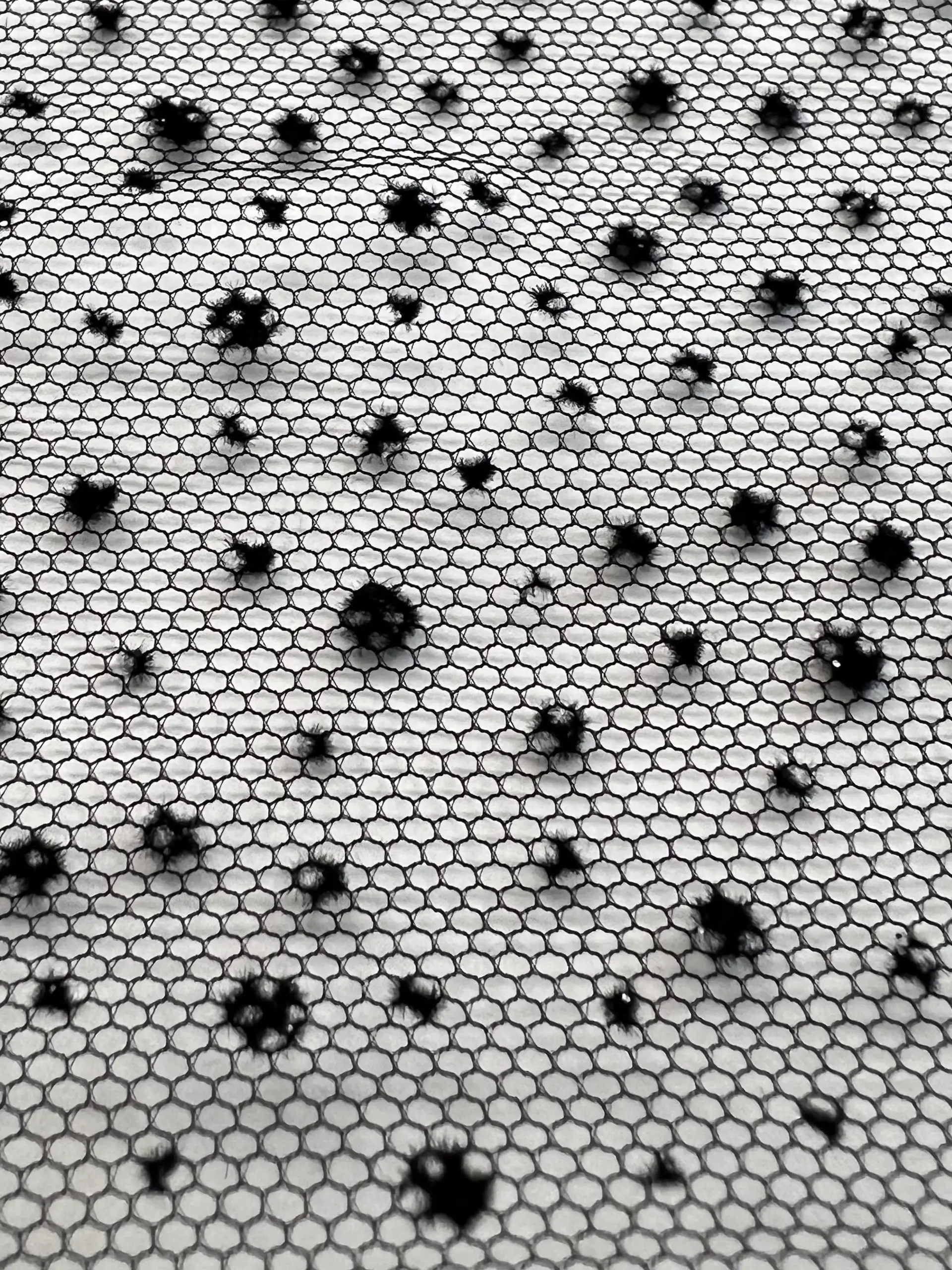 Micro Flocked & Glittered Nylon Tulle in Black on Black