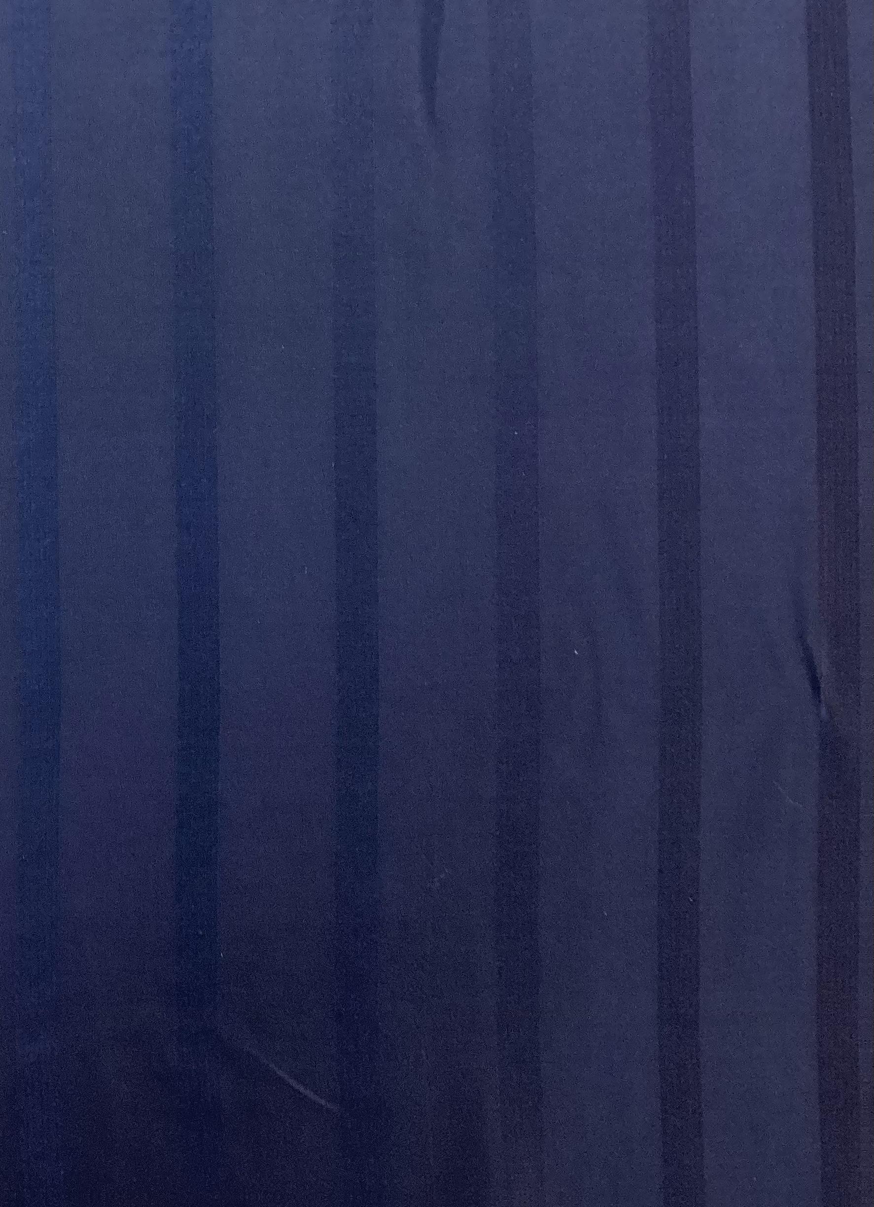 Made in Italy Pure Silk Wide Stripe Jacquard in Navy