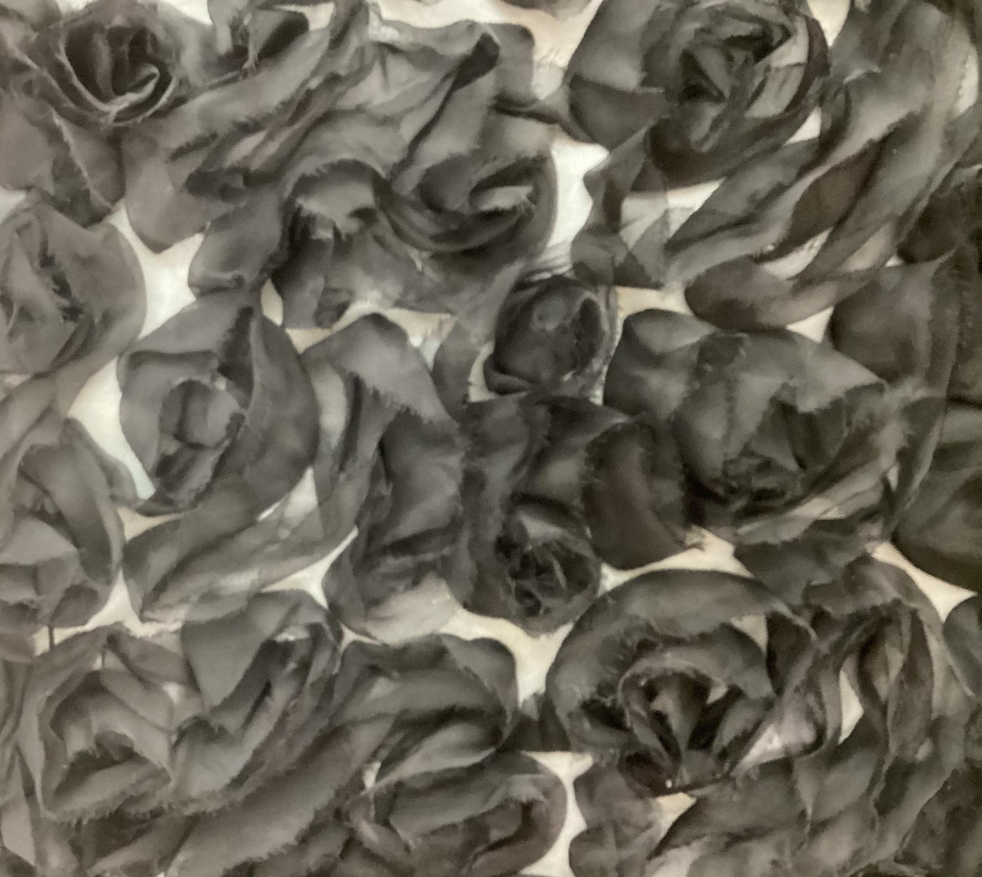 Novelty Silk Organza on Tulle in Black