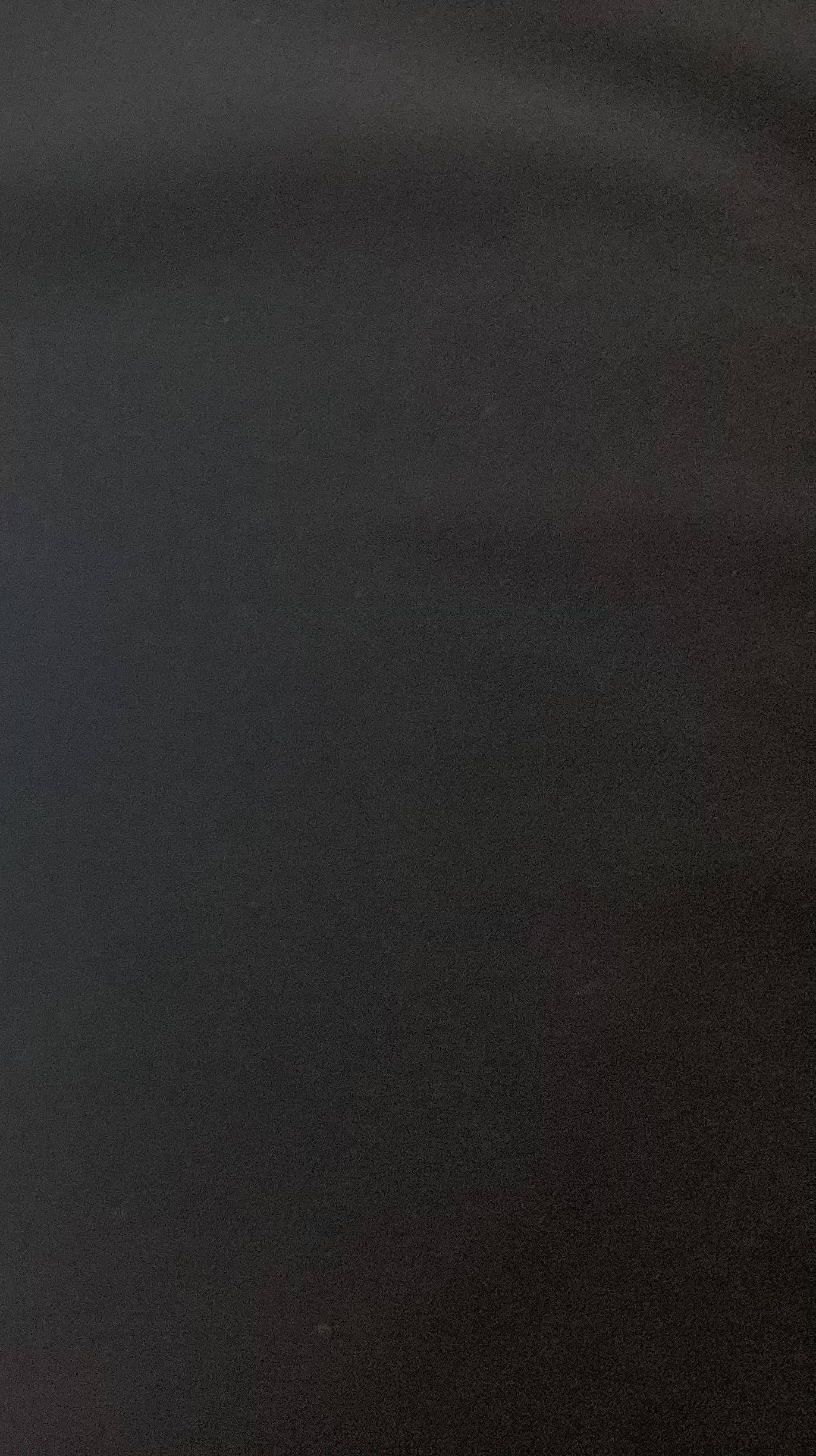 Polyester/Wool in Black