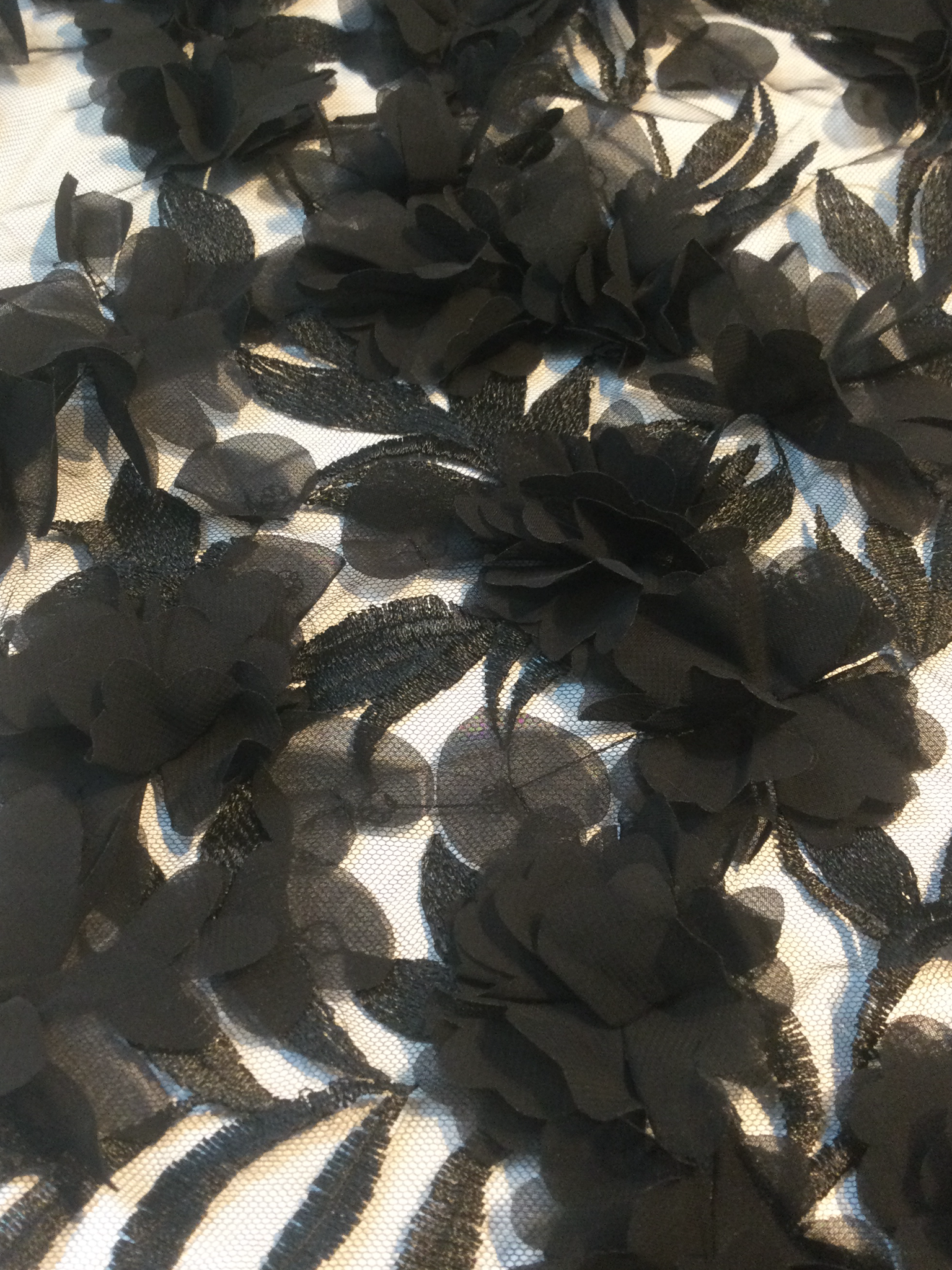 Embroidered Illusion with Applique' in Black