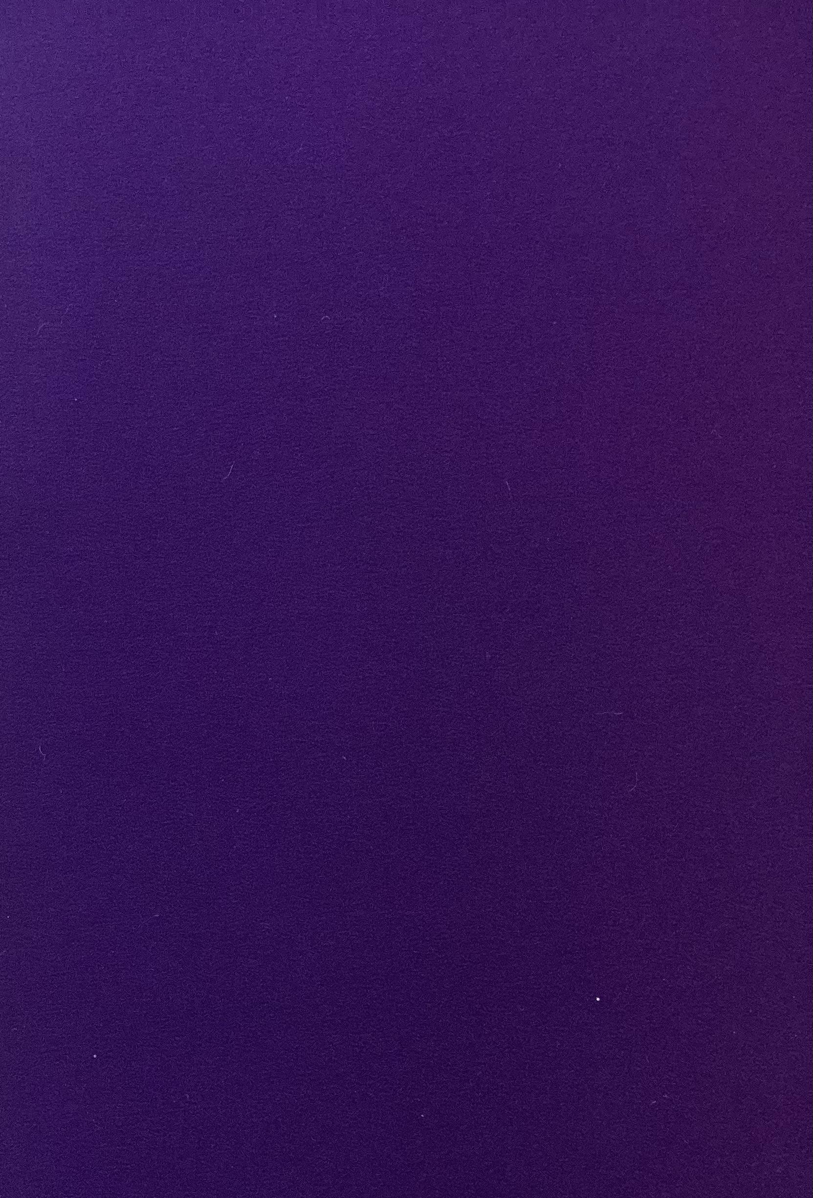 MADE IN ITALY 100% PURE SILK CHARMEUSE IN VIOLET