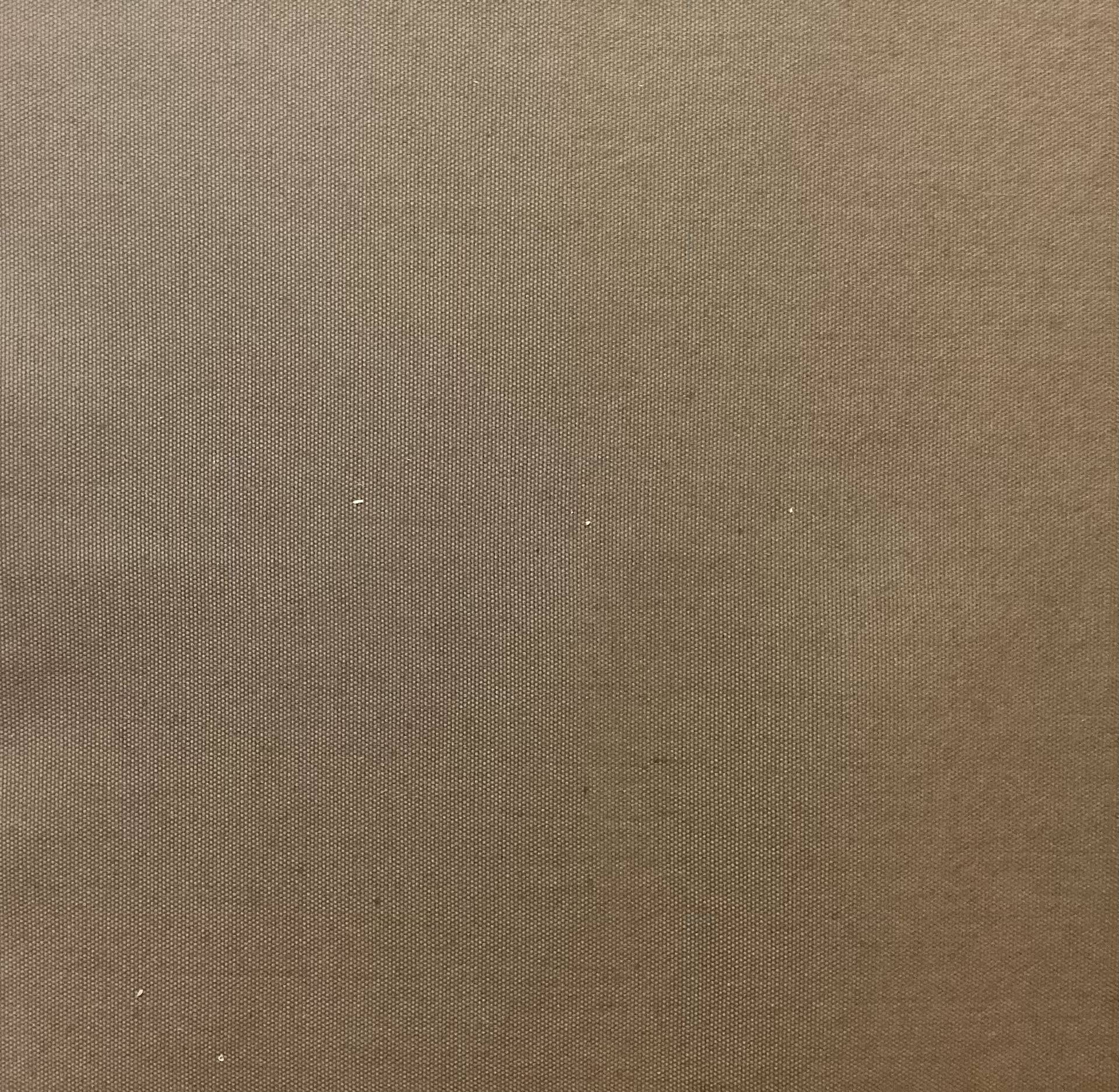Rainwear Canvas in Mocha