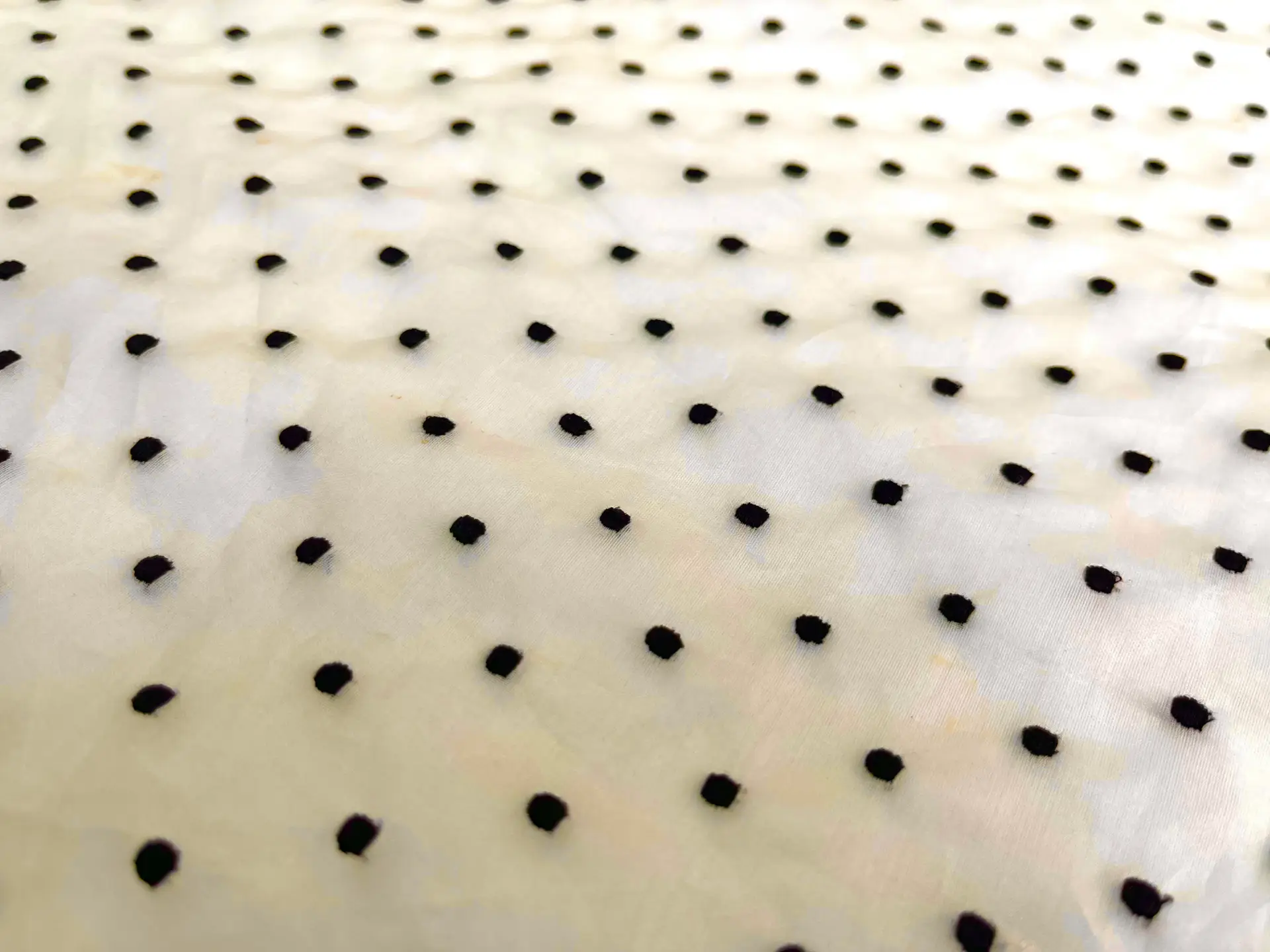 Silk Organza Point d'Esprit In Ecru & Black