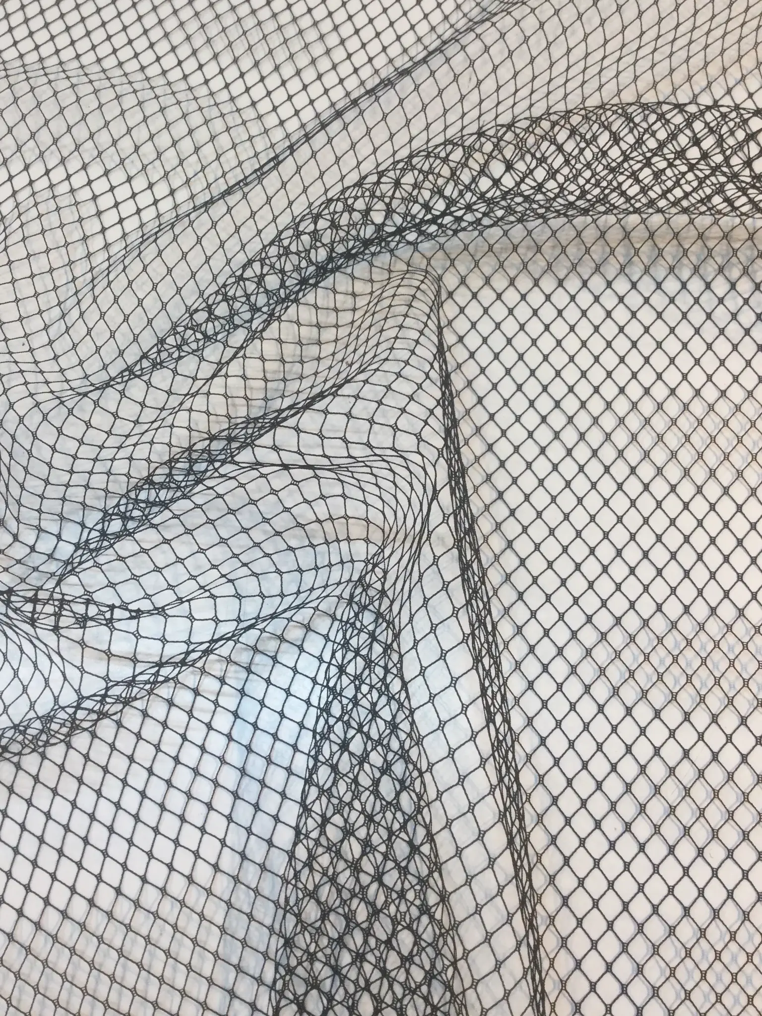 Novelty Birdcage in Black