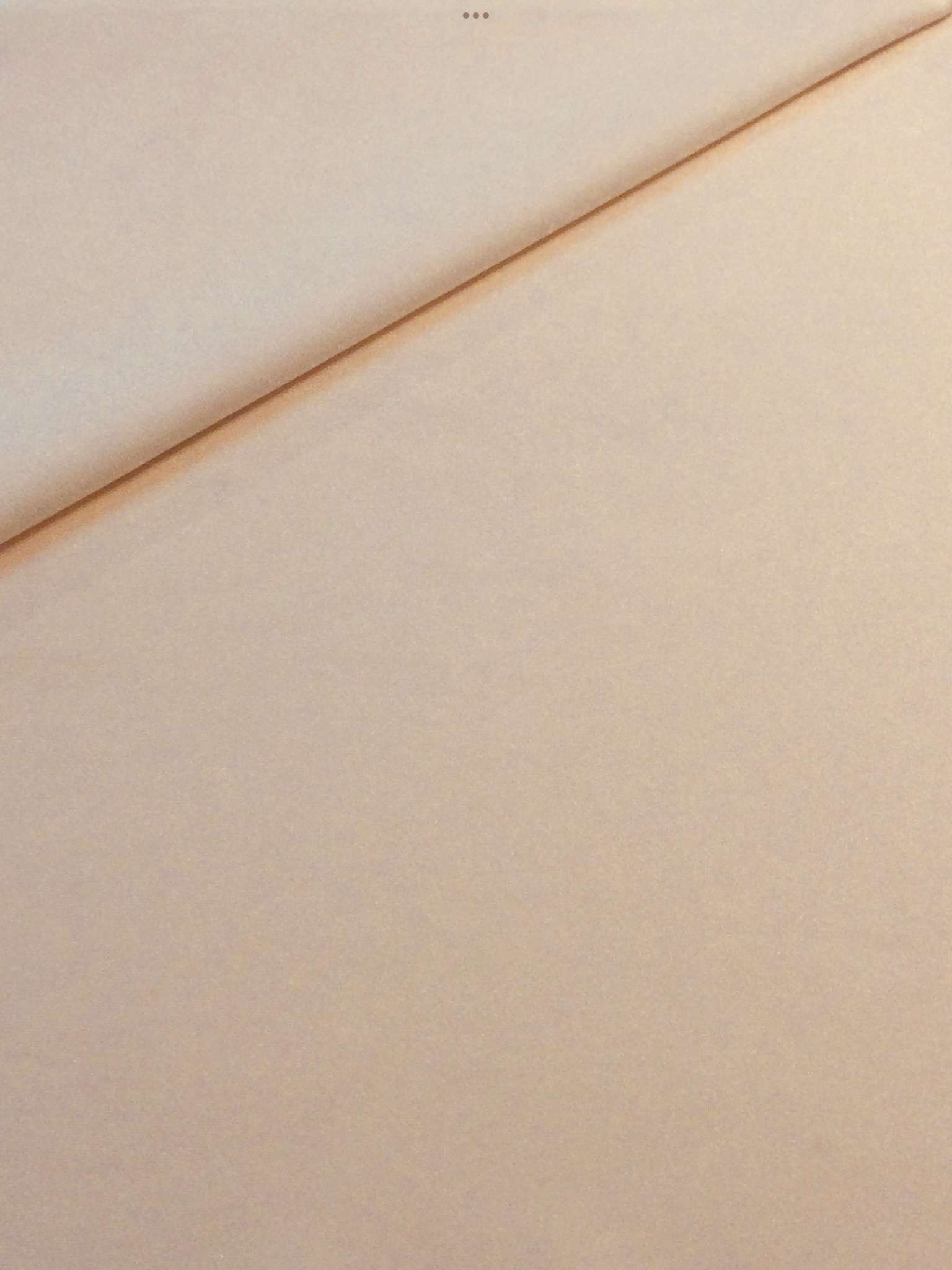 Nylon Spandex in Light Apricot