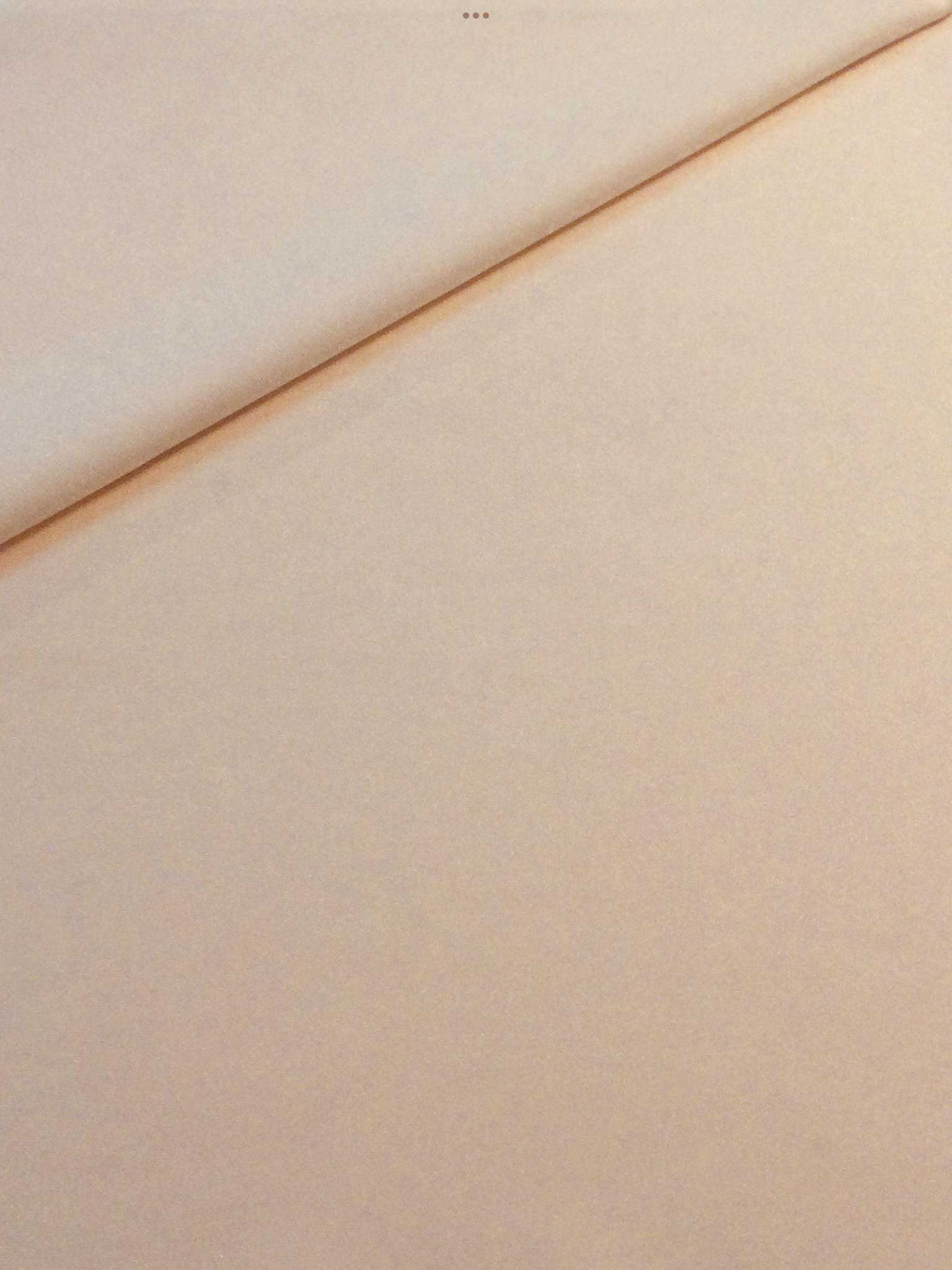 Nylon Spandex in Light Apricot