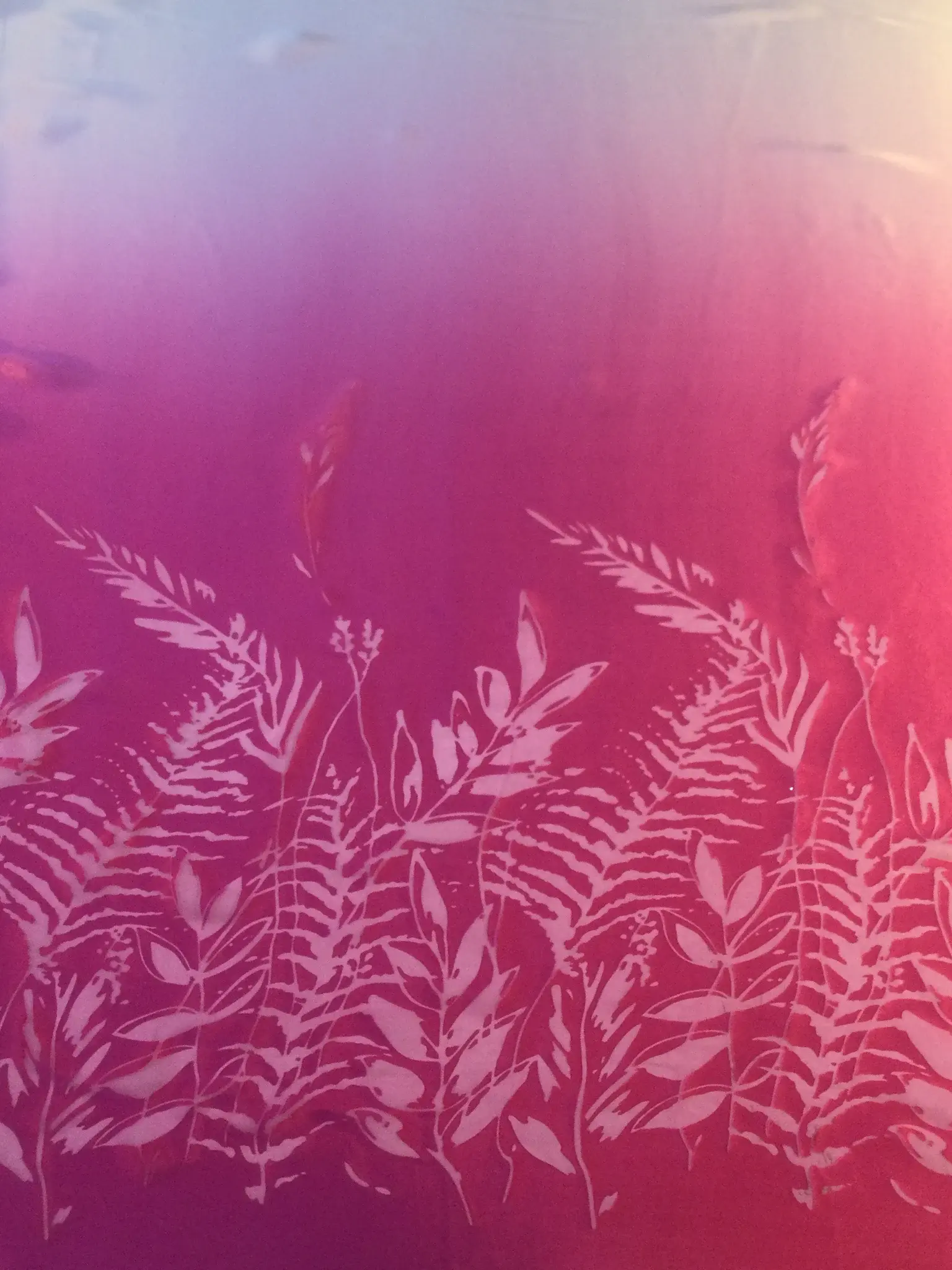 Ombre' Silk Blend Charmeuse Burn-Out Boarder Design in Pinks