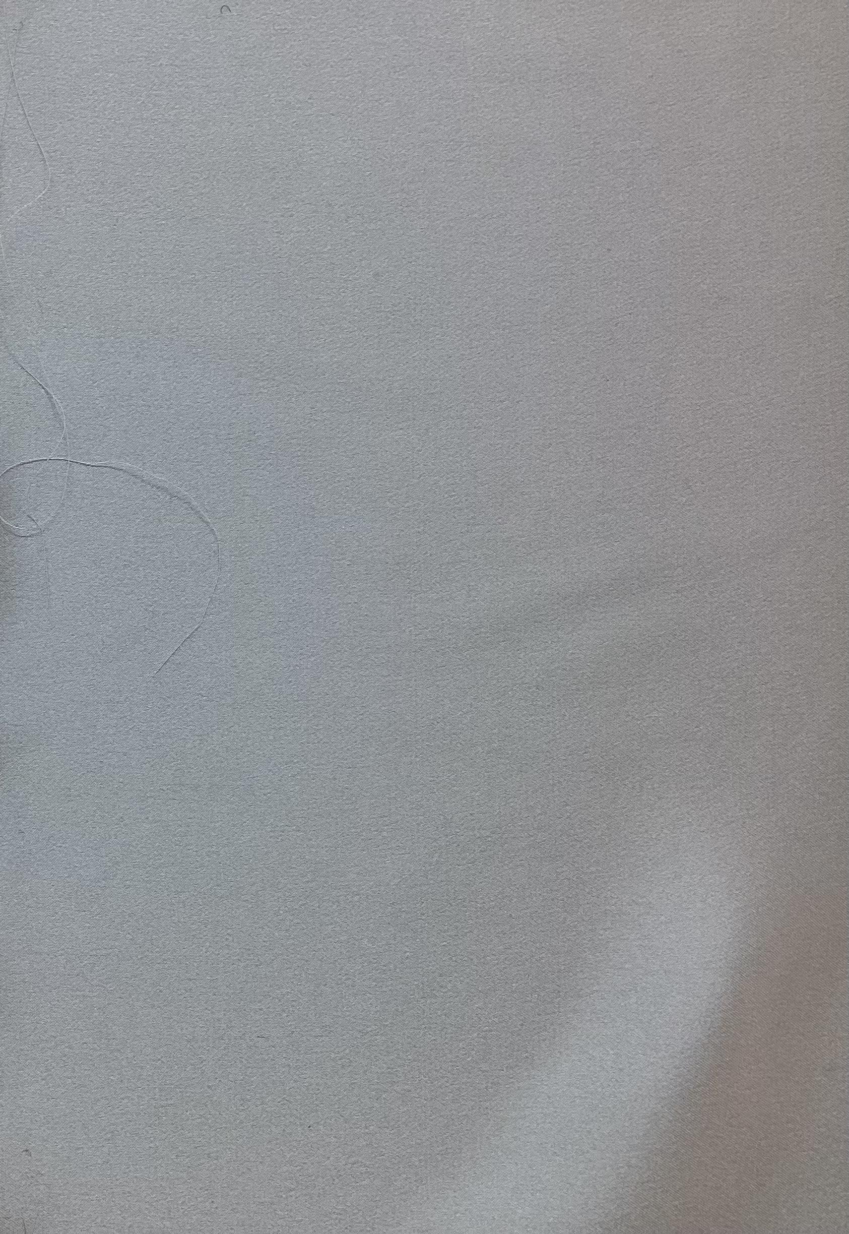 Pure Silk Charmeuse in Light Blue