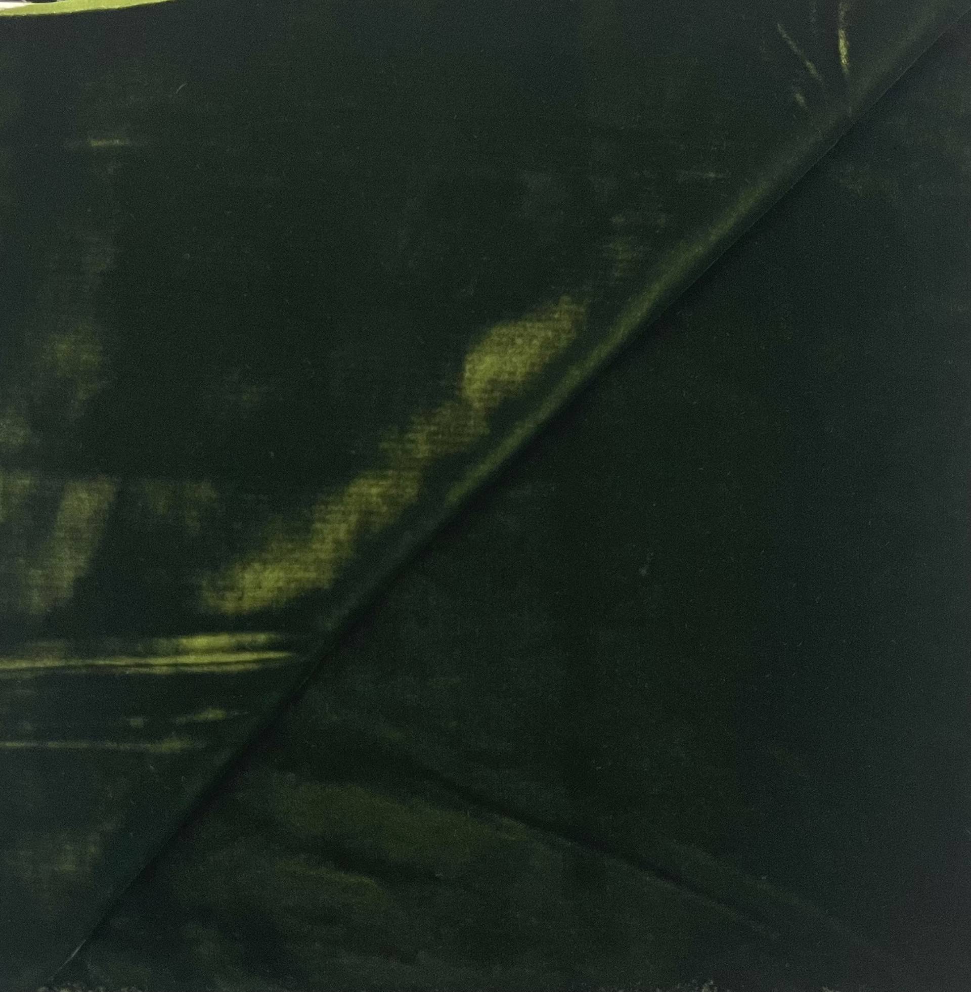 Rayon Velvet in Olive Green