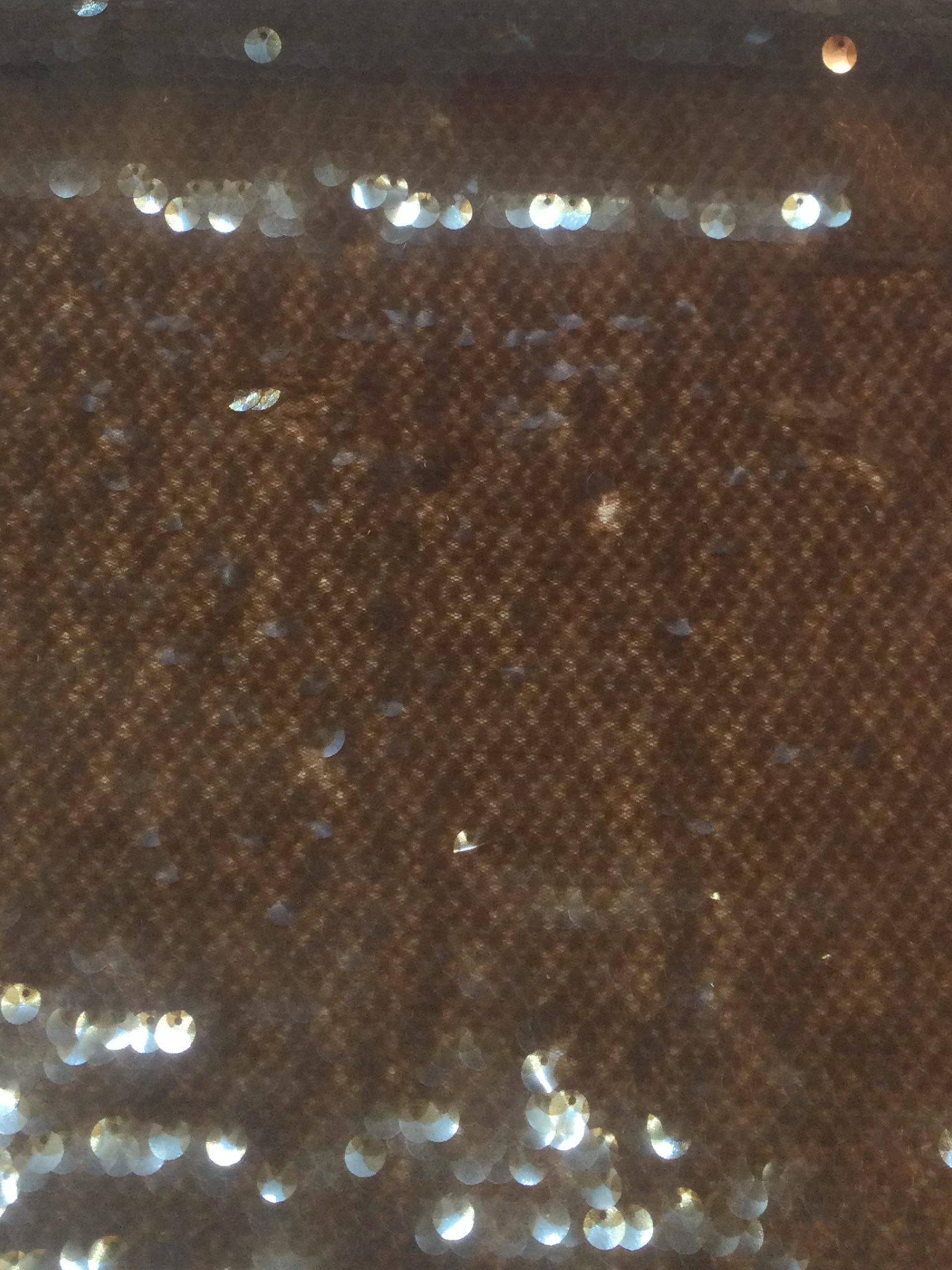 Transparent Mini-Paillettes on Stretch Tulle in Brown