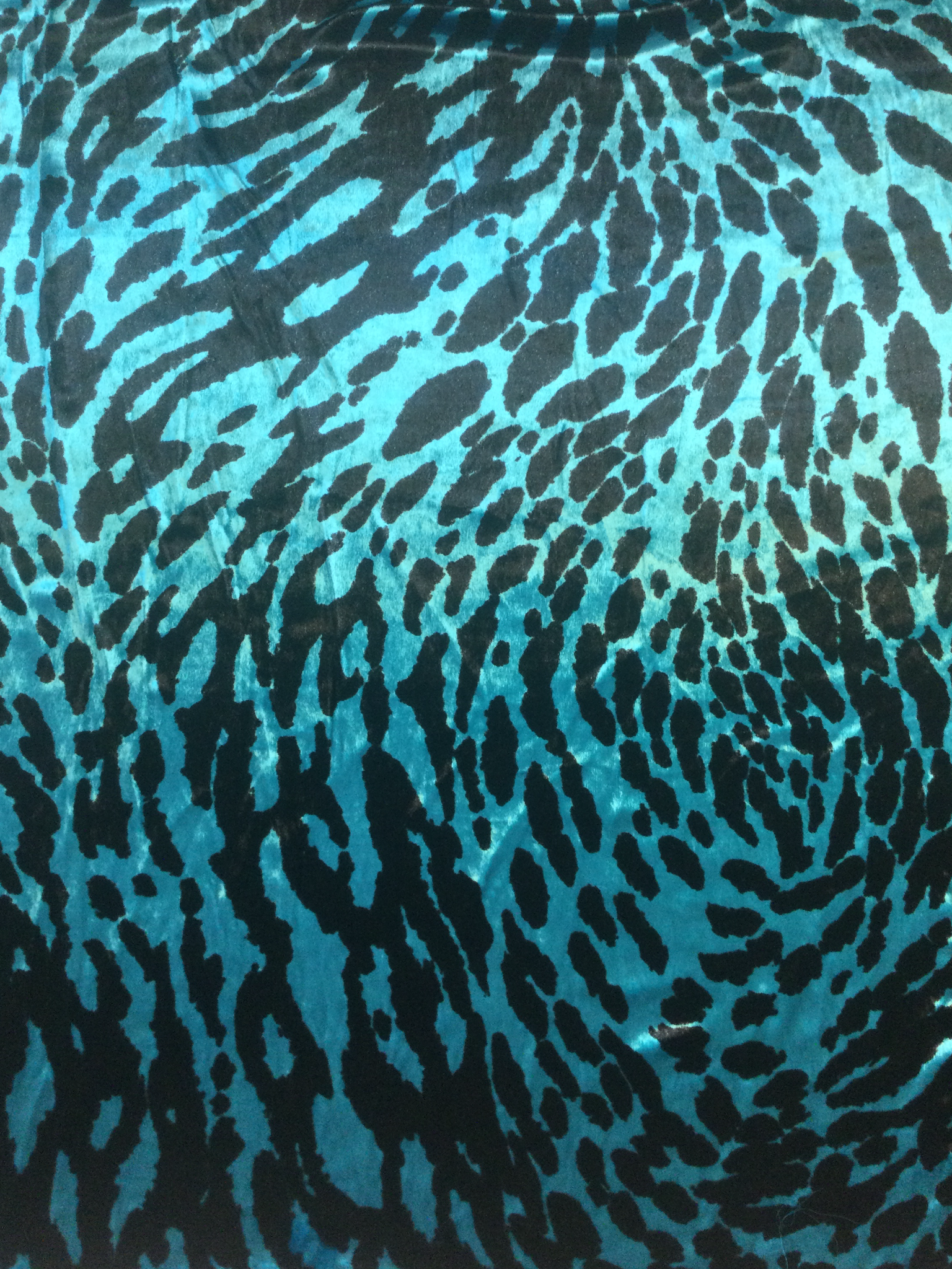 Printed Panne' Velvet in Teal/Black