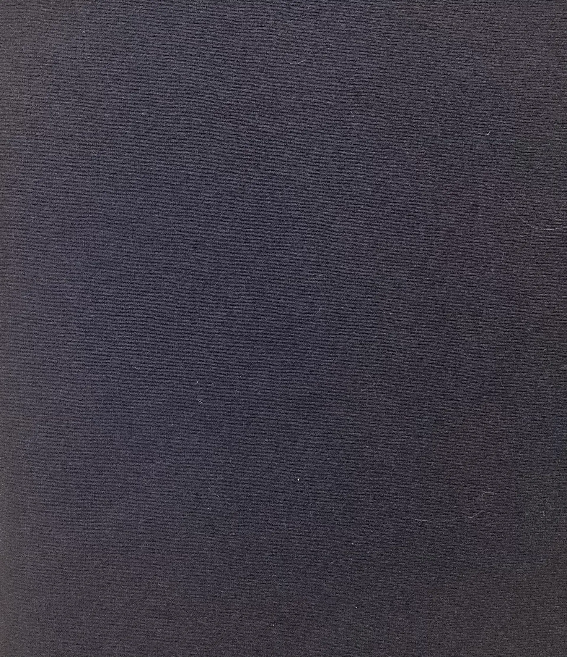 Japanese Cotton French Terry in Navy