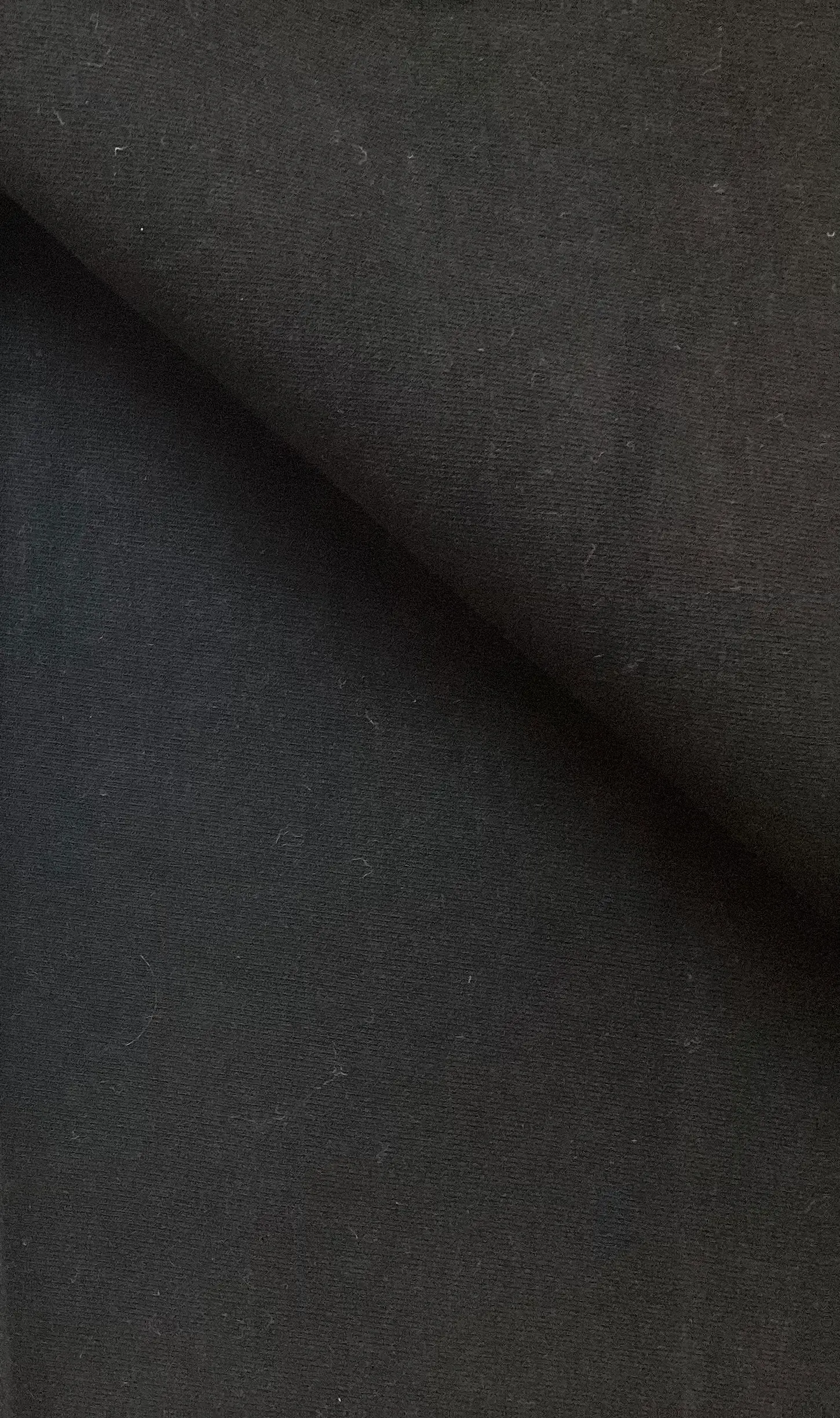 100% Cotton 4 Way Stretch Heavy French Terry Knit In Ebony