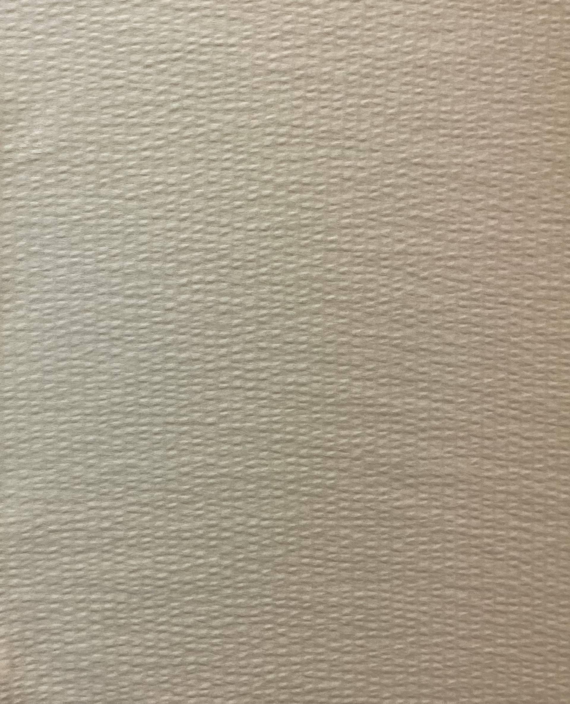 Hammered Silk Satin in Ivory