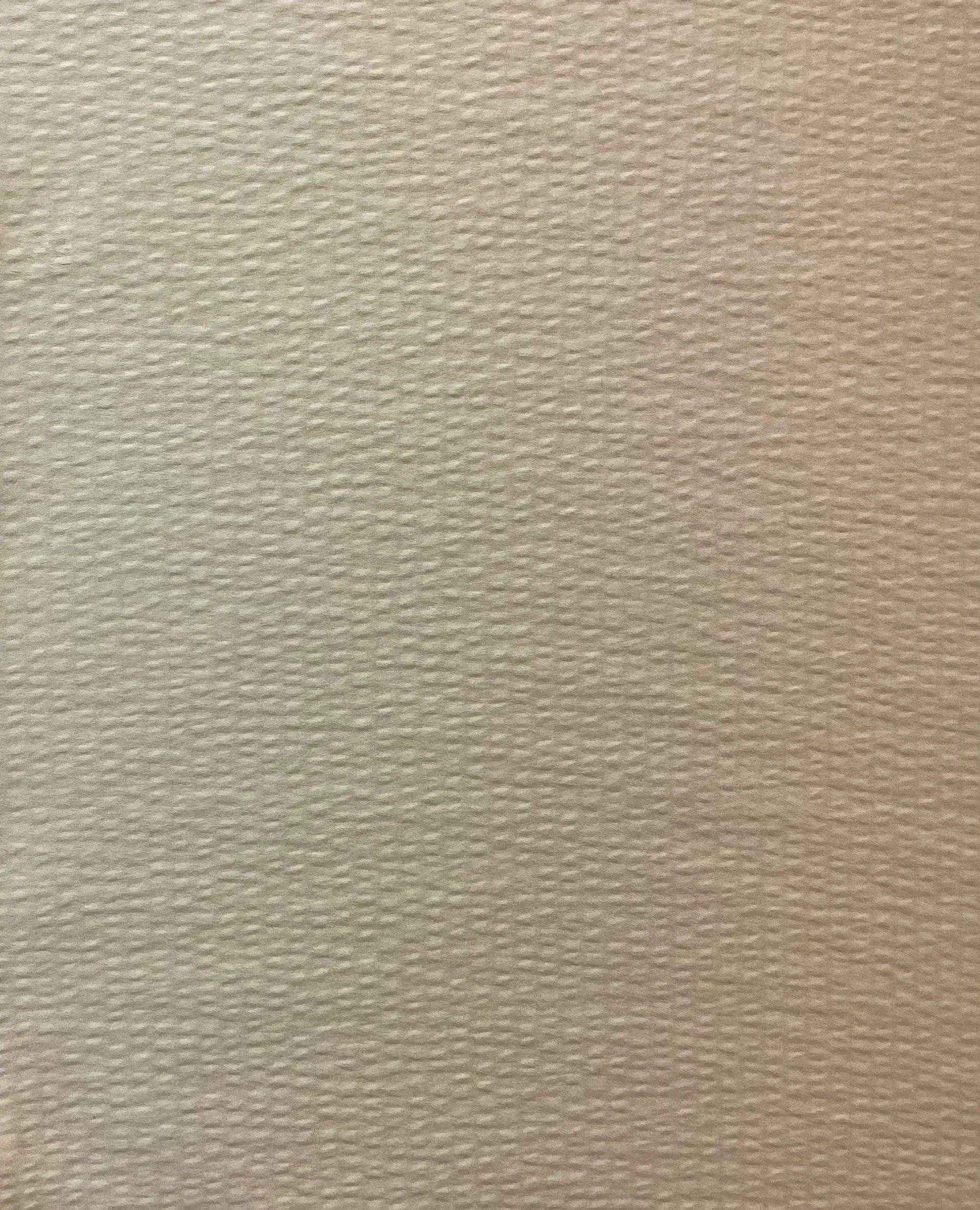 Hammered Silk Satin in Ivory