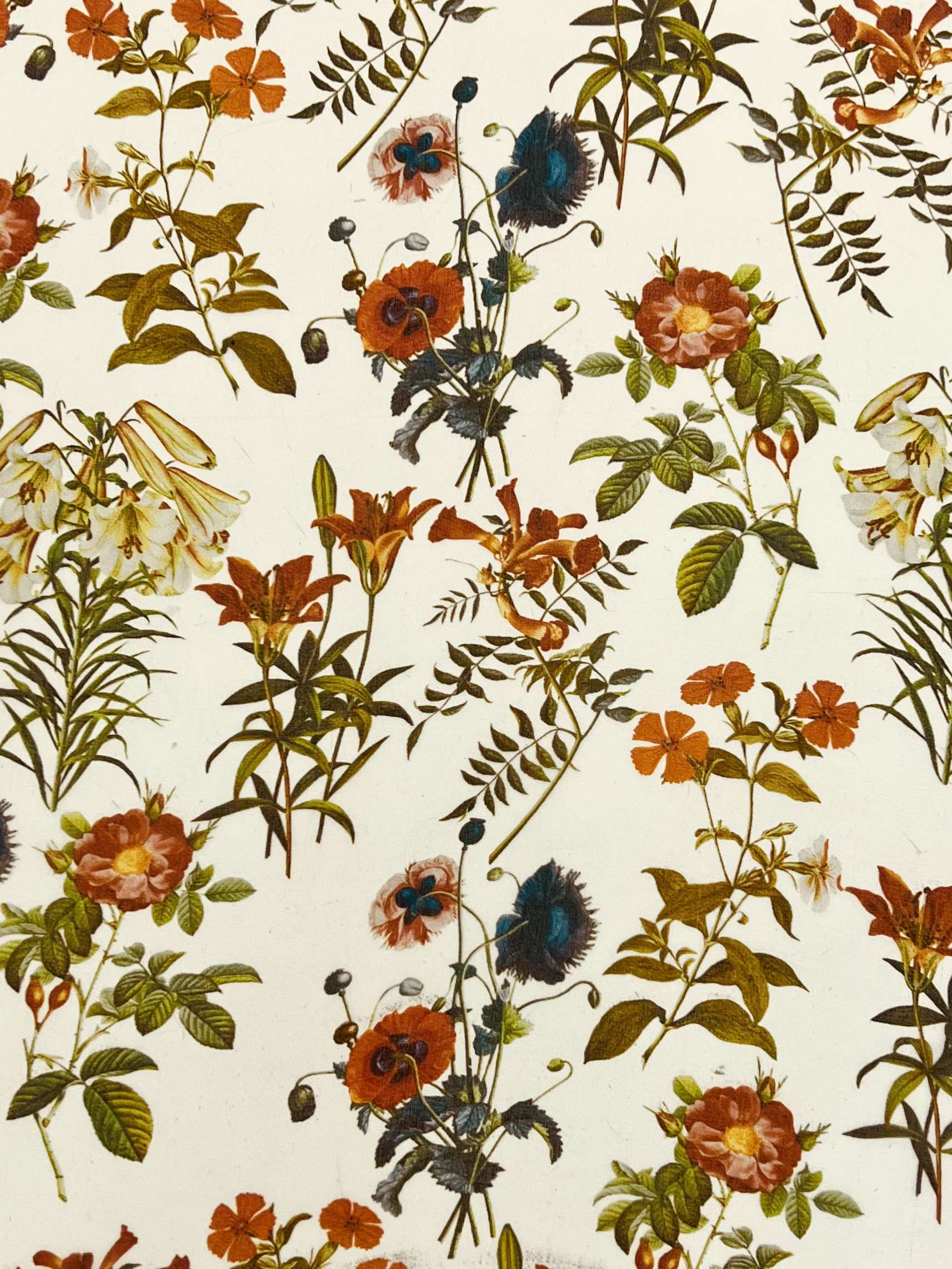 Printed Silk Organza "Lilly's Garden"