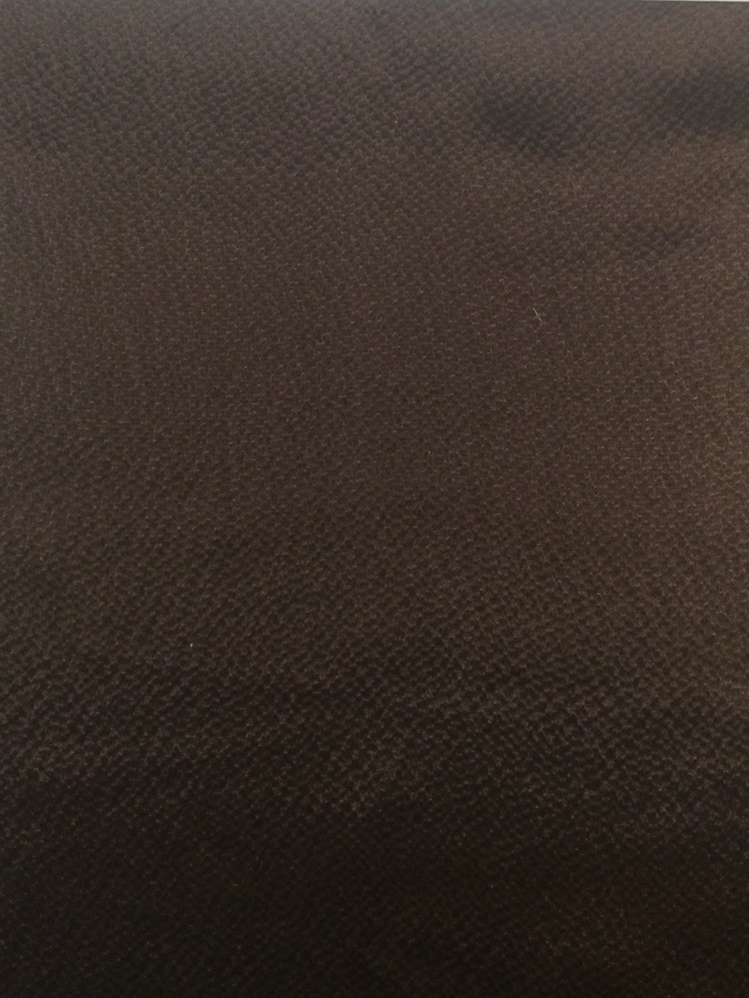 Hammered Silk Charmeuse in Brown