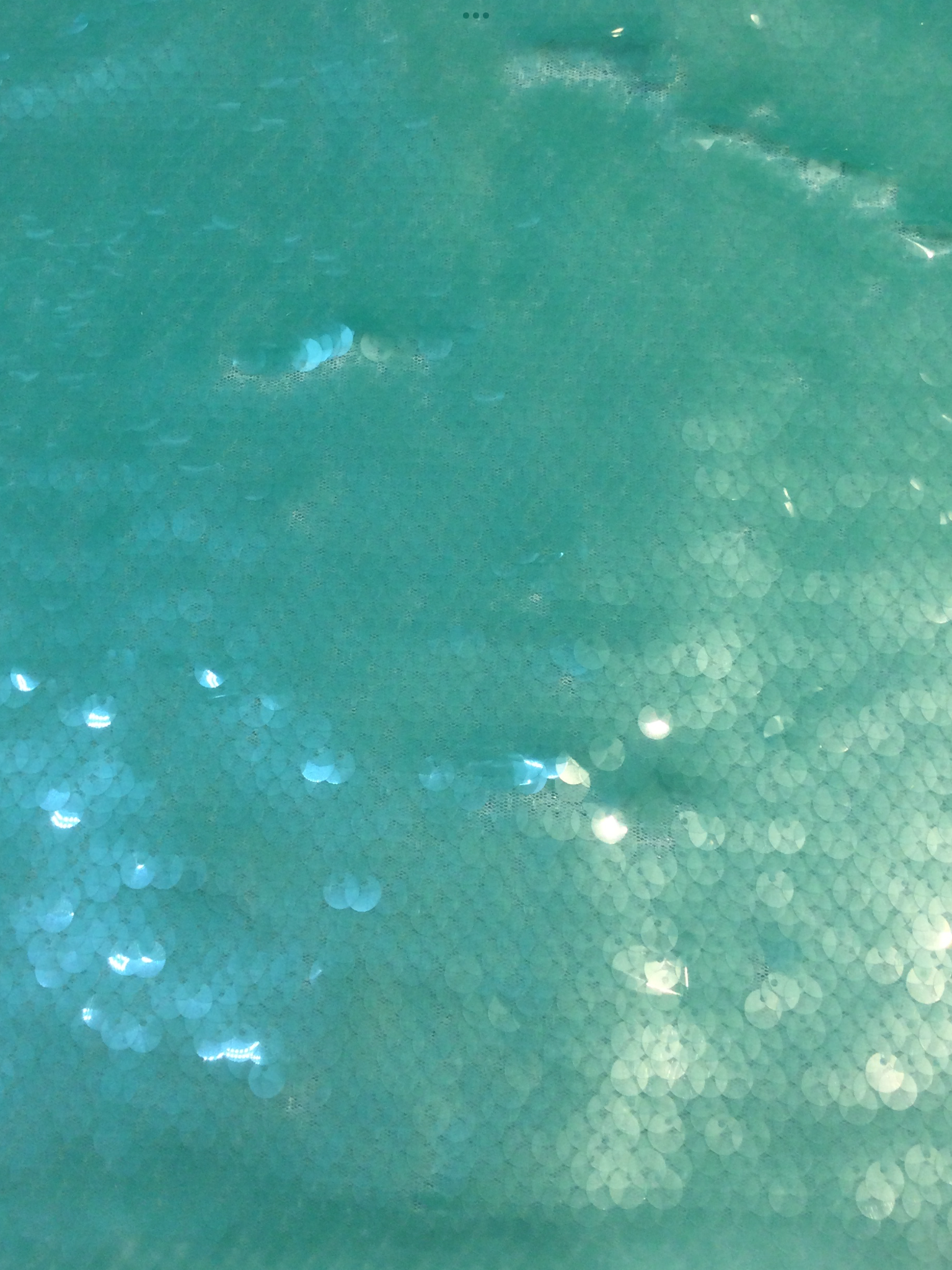 Transparent Mini-Paillettes on Stretch Tulle in Mint