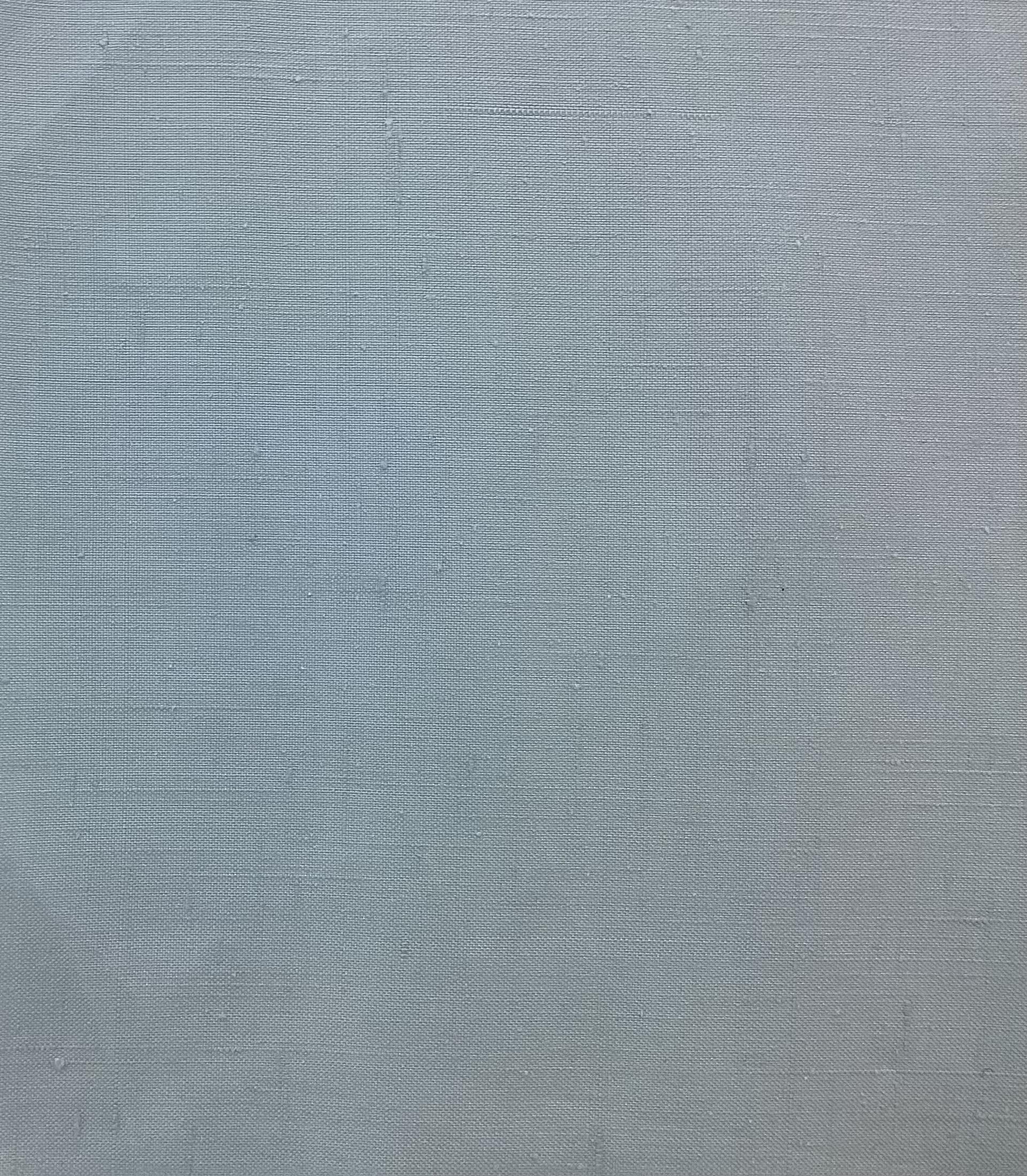 Made in Italy 100% Silk Duppioni in Sky