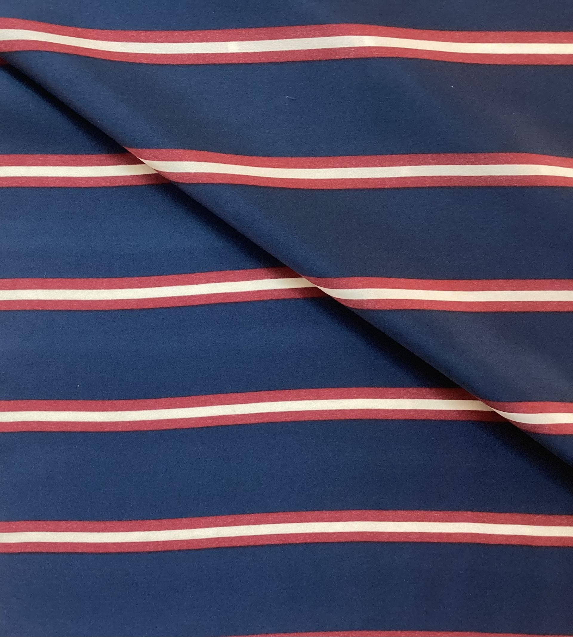 Printed Sillk Charmeuse in Broad Blue Stripes