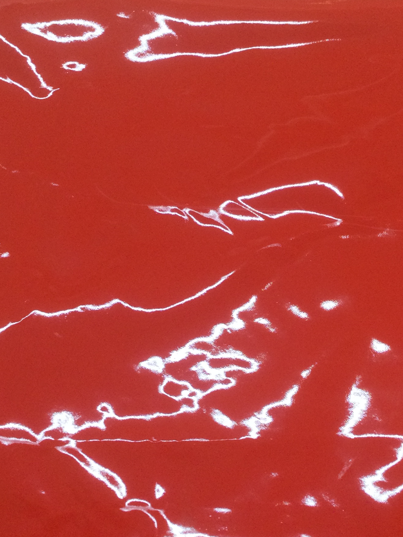 Coated Nylon Cire' in Red