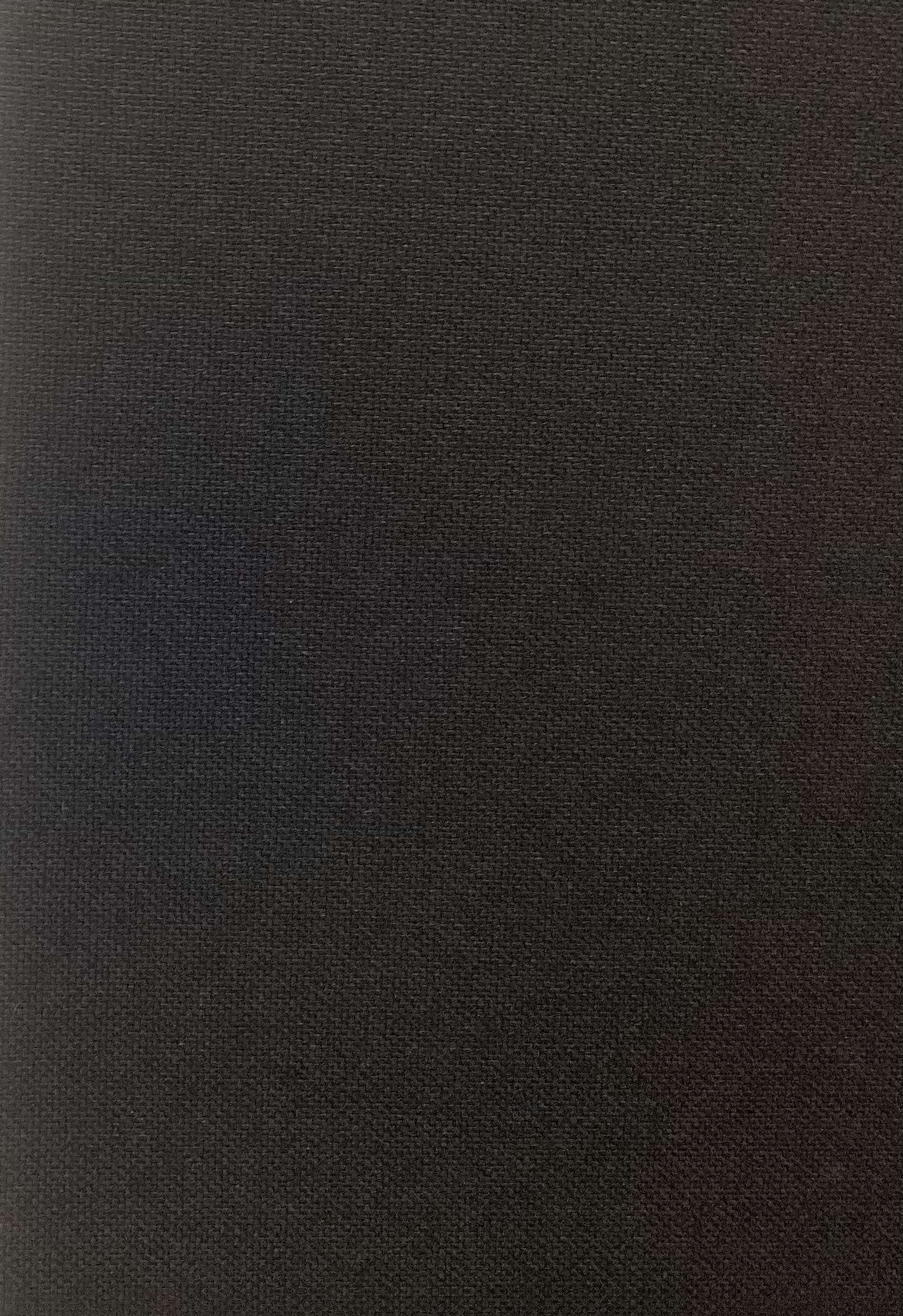 Japanese Wool Canvas Paper Finish In Jet Black