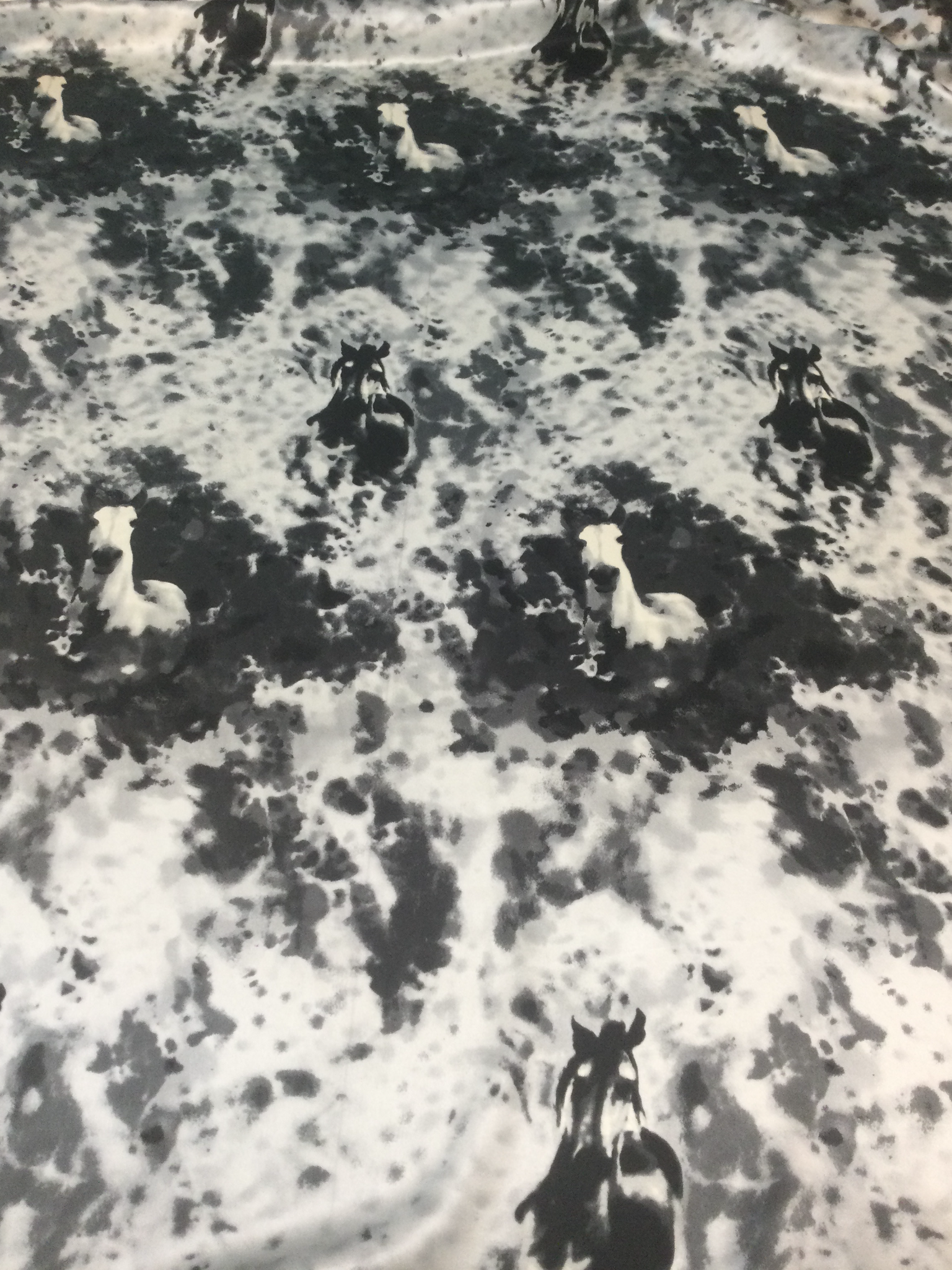 Silk Print with Horses in Black/White