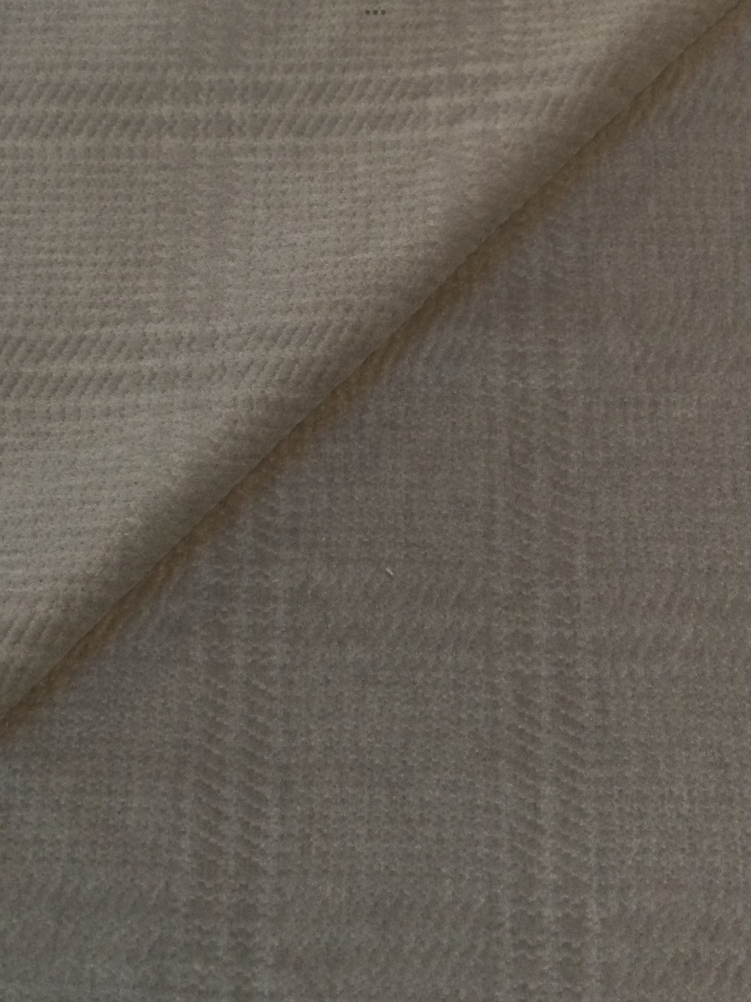 Made in Italy Cotton Velvet in Embossed Putty