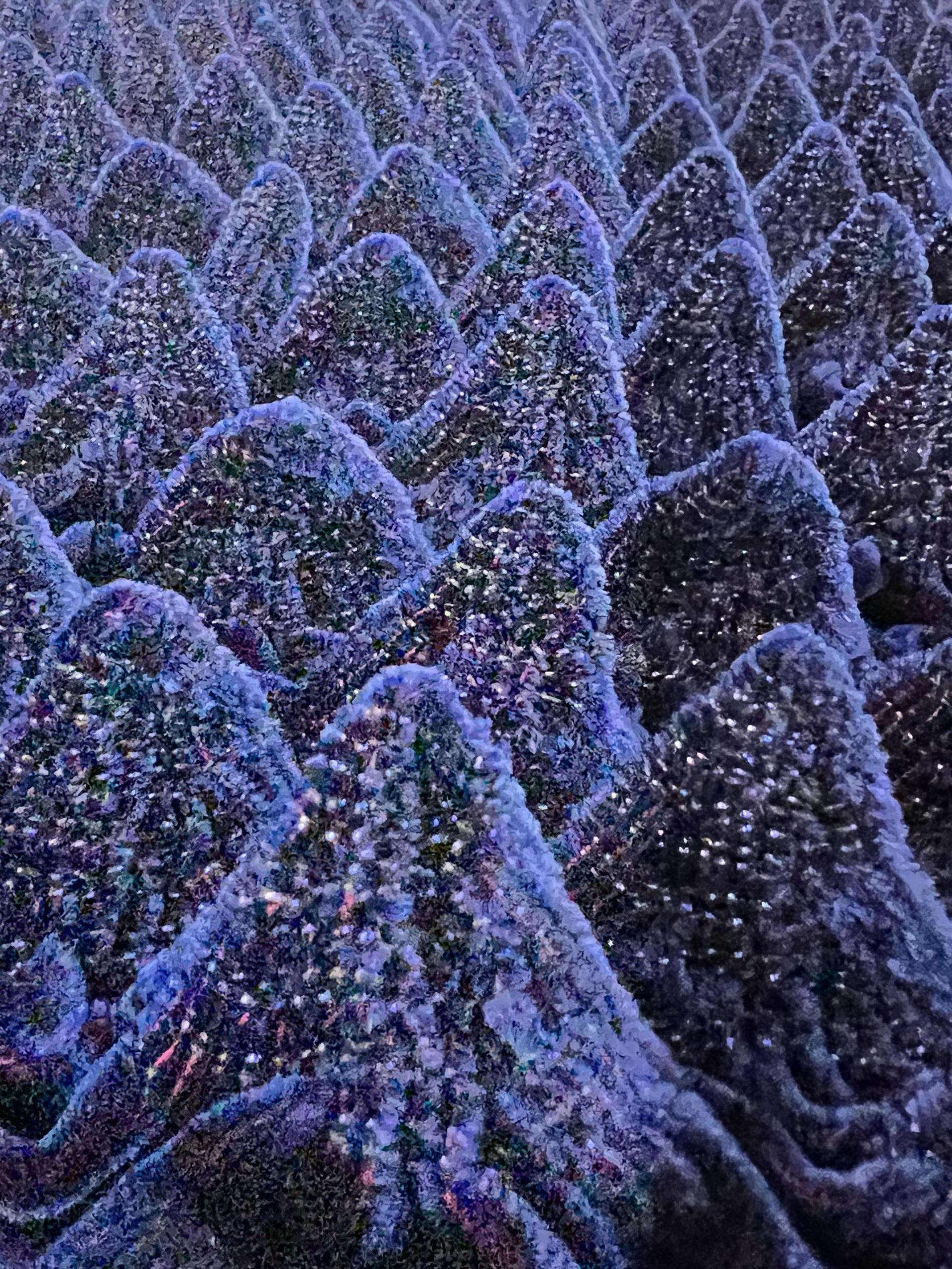 French Novelty Dimensional Cone Shaped Iridescent Velvet in Blue Red