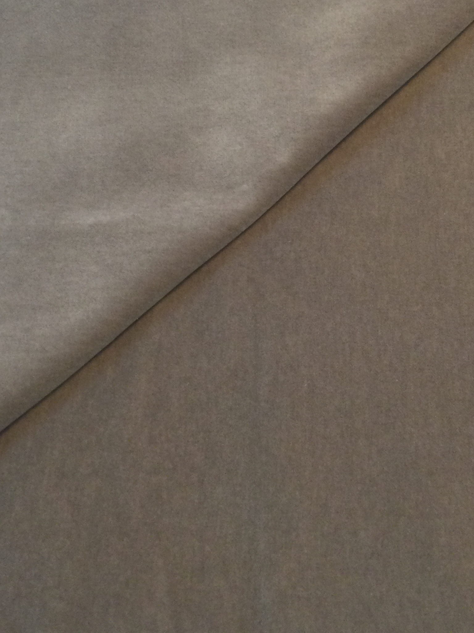 Made in Italy Cotton Velvet in Beige Mist