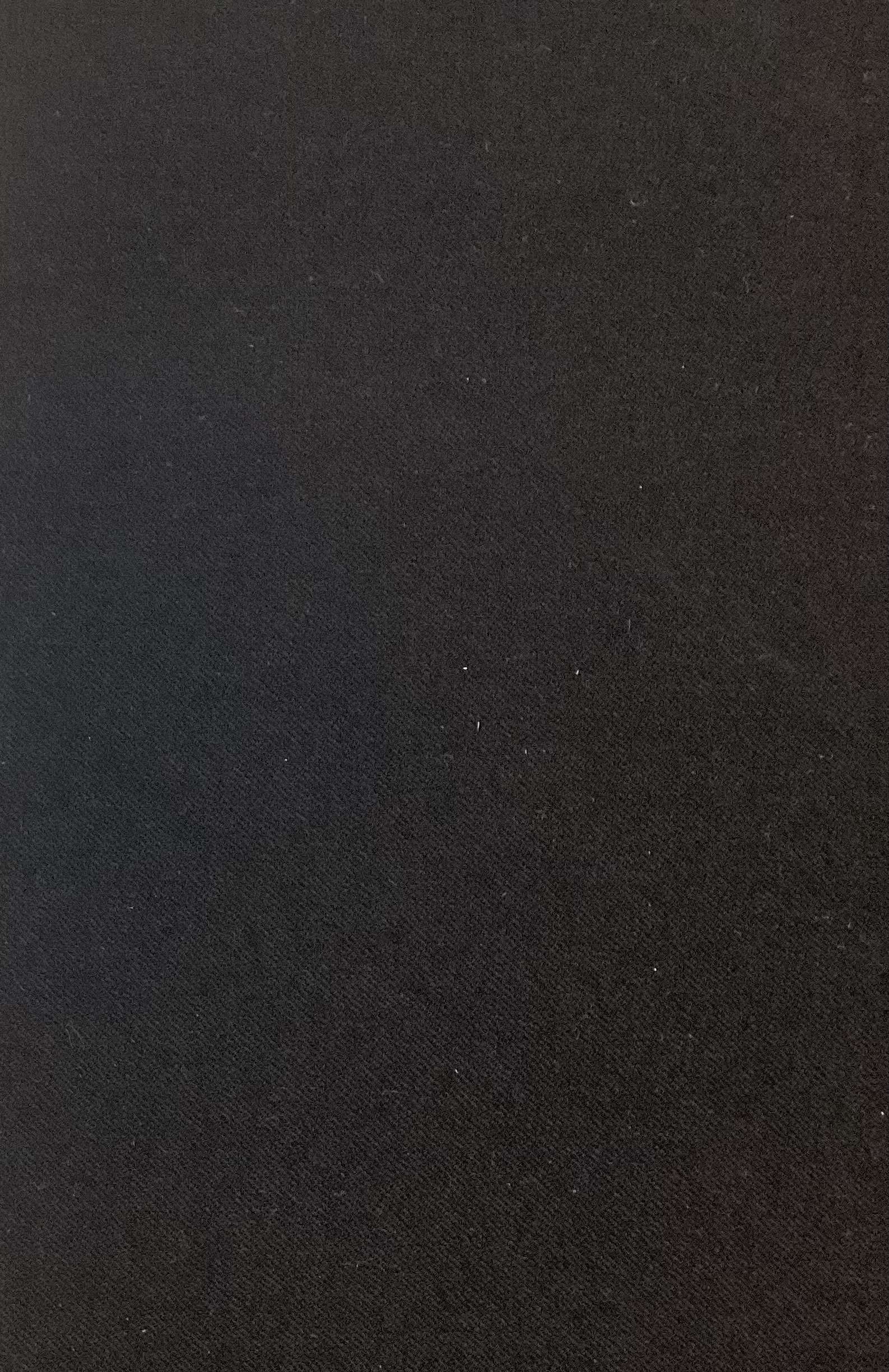 100% Wool Flannel In Onyx