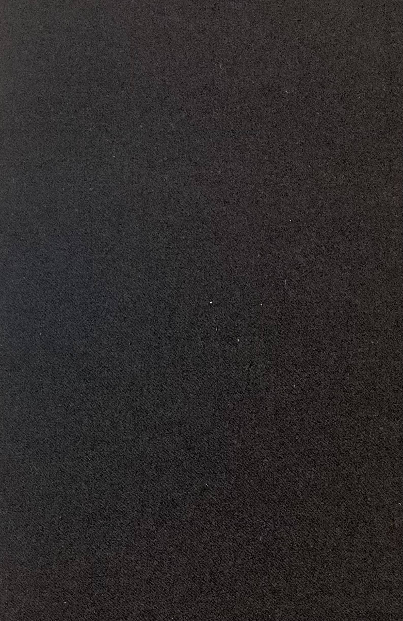 100% Wool Flannel In Onyx