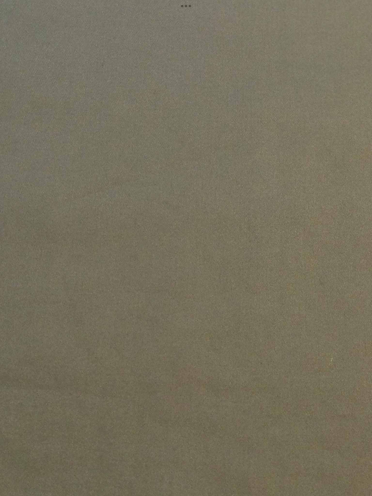 Cotton Rayon Heavy Chino Fine Twill in Sagebrush