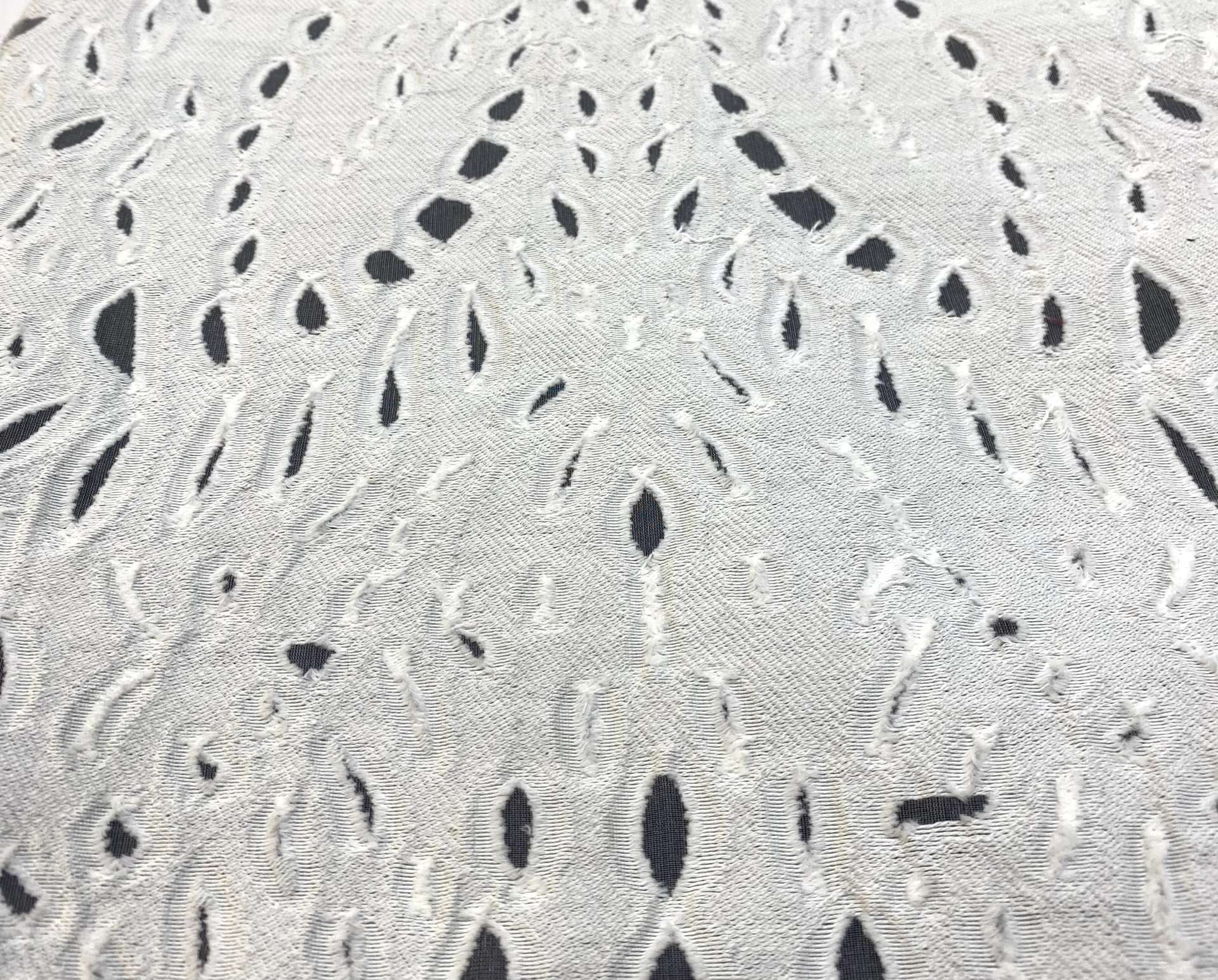 Italian Burnout Organza