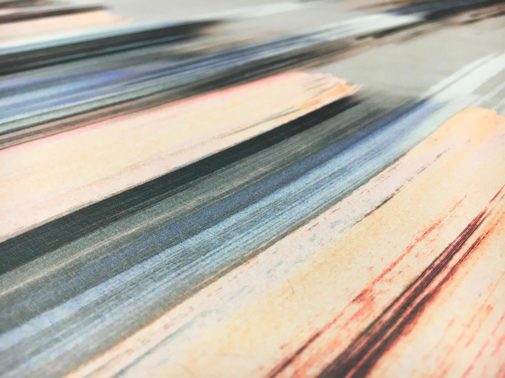 Printed Silk Organza with Abstract Stripes2