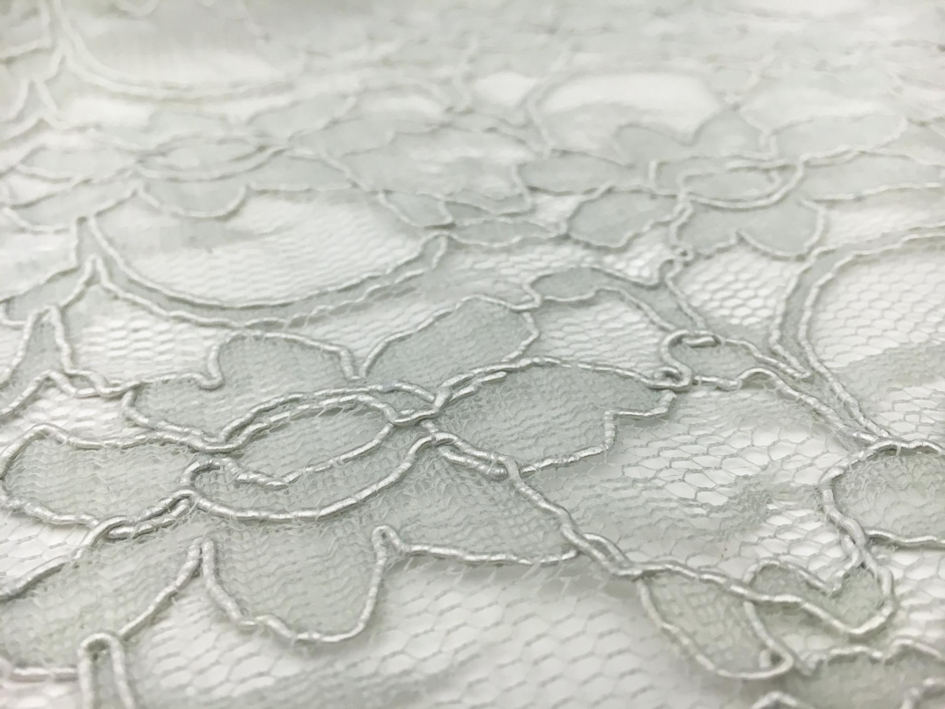 Xanna Embroidered Cotton and Nylon Lace2