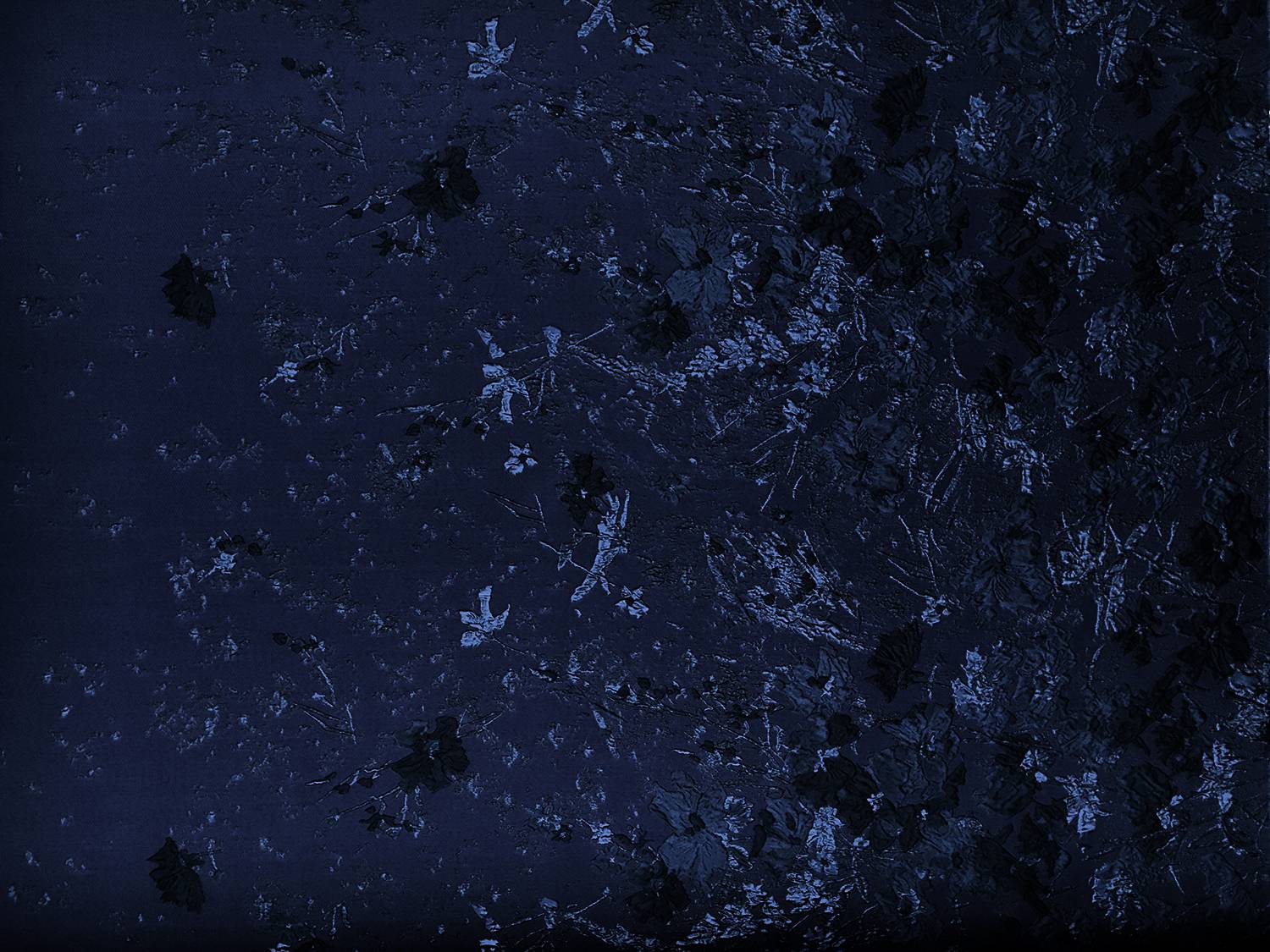 Polyester Twill with Metallic Abstract Floral Border0