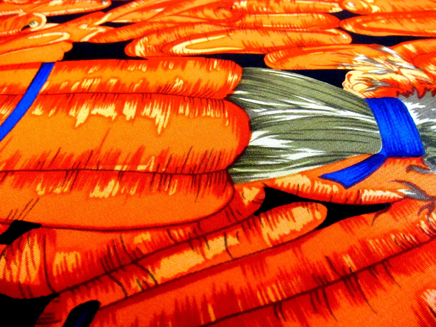 REDUCED Printed Silk Crepe de Chine with Carrots2