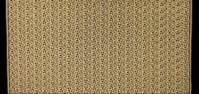 Guipure Lace3