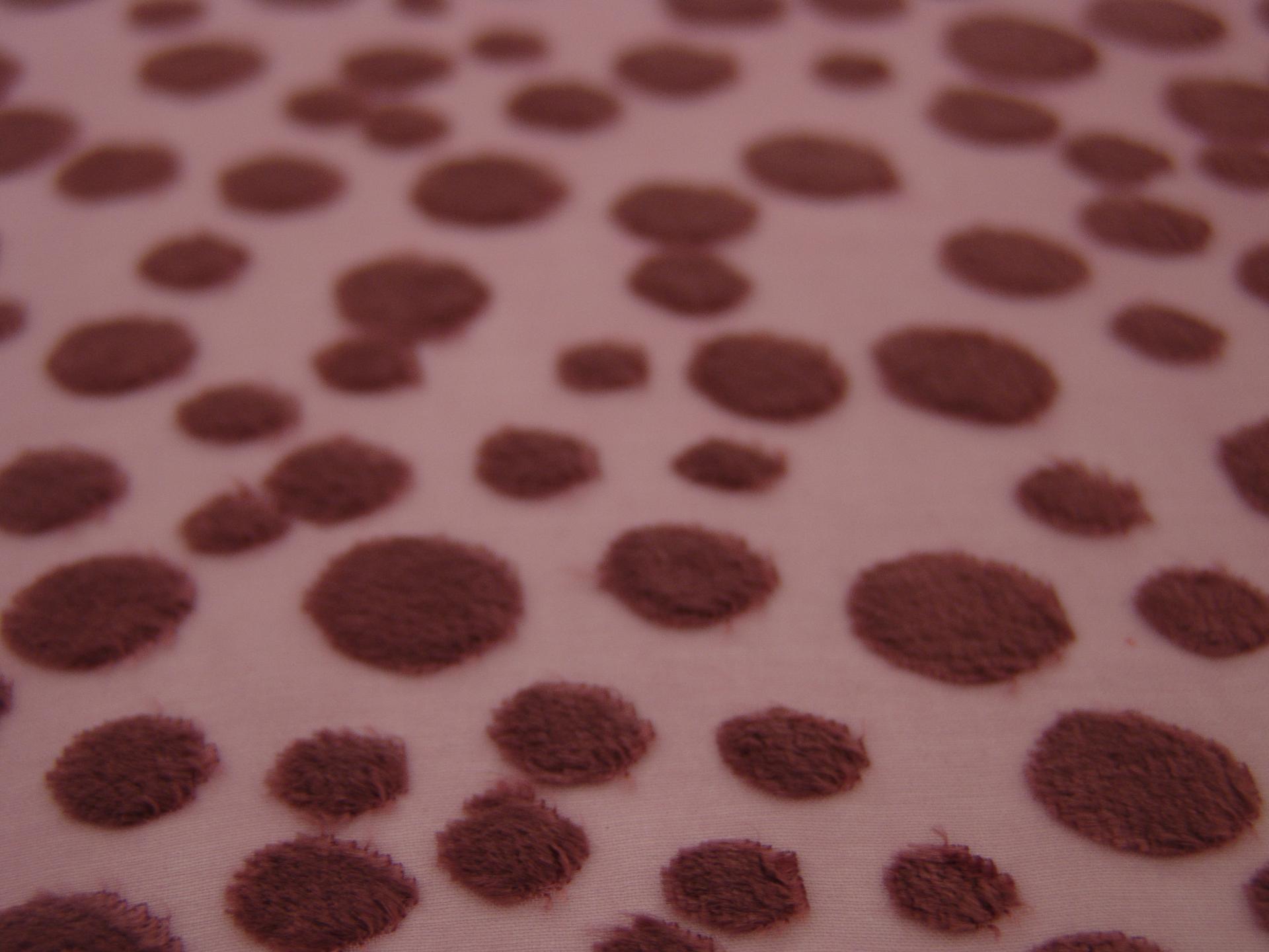 Silk Rayon Burn-Out Velvet1