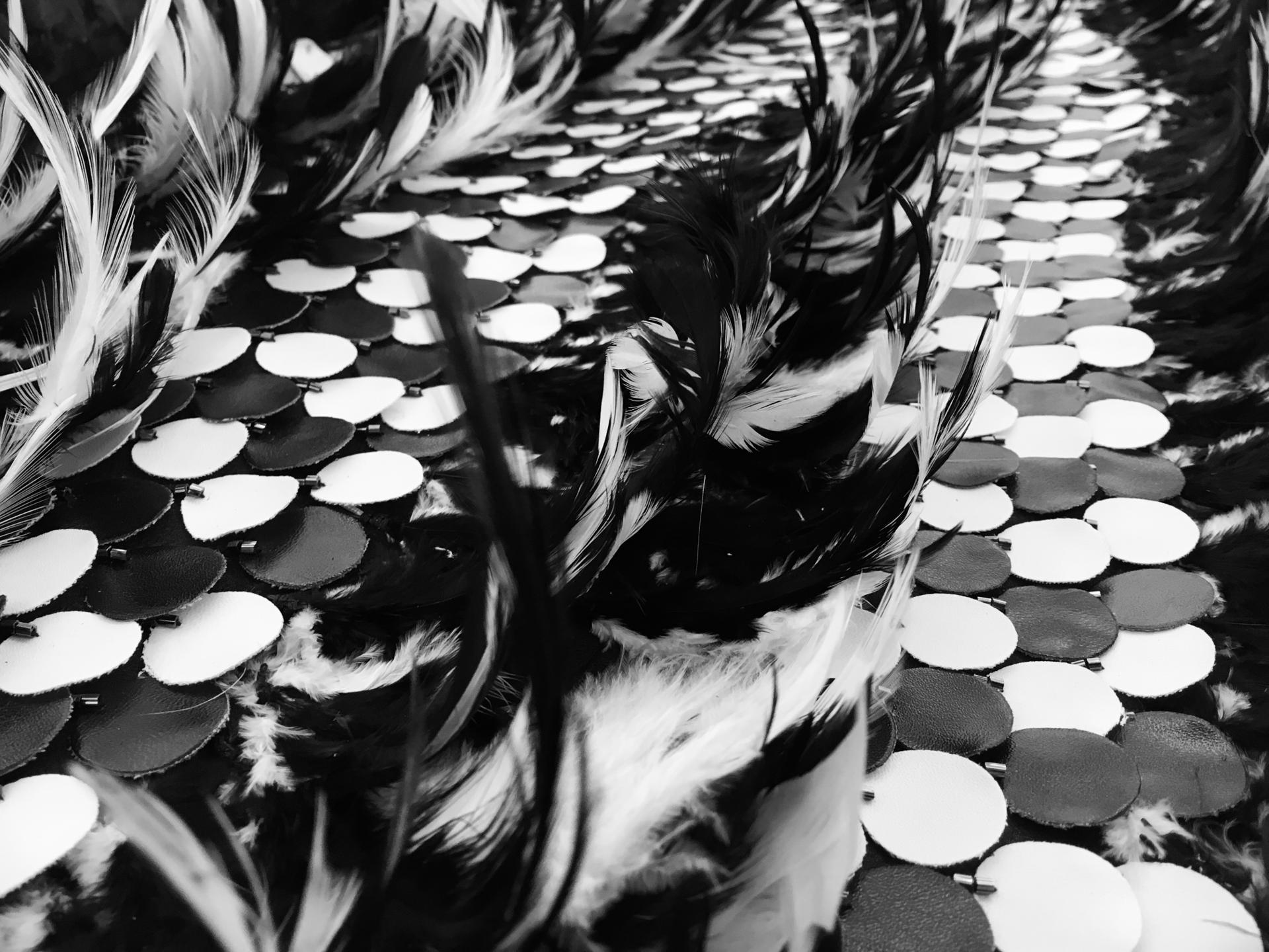 REDUCED Novelty Leather Sequins and Feathers on Silk Chiffon2