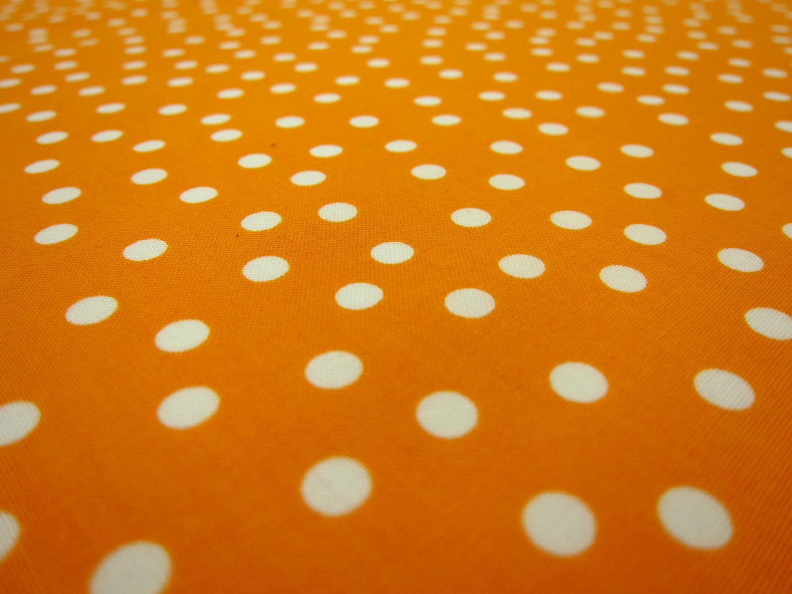 Cotton Broadcloth Print2