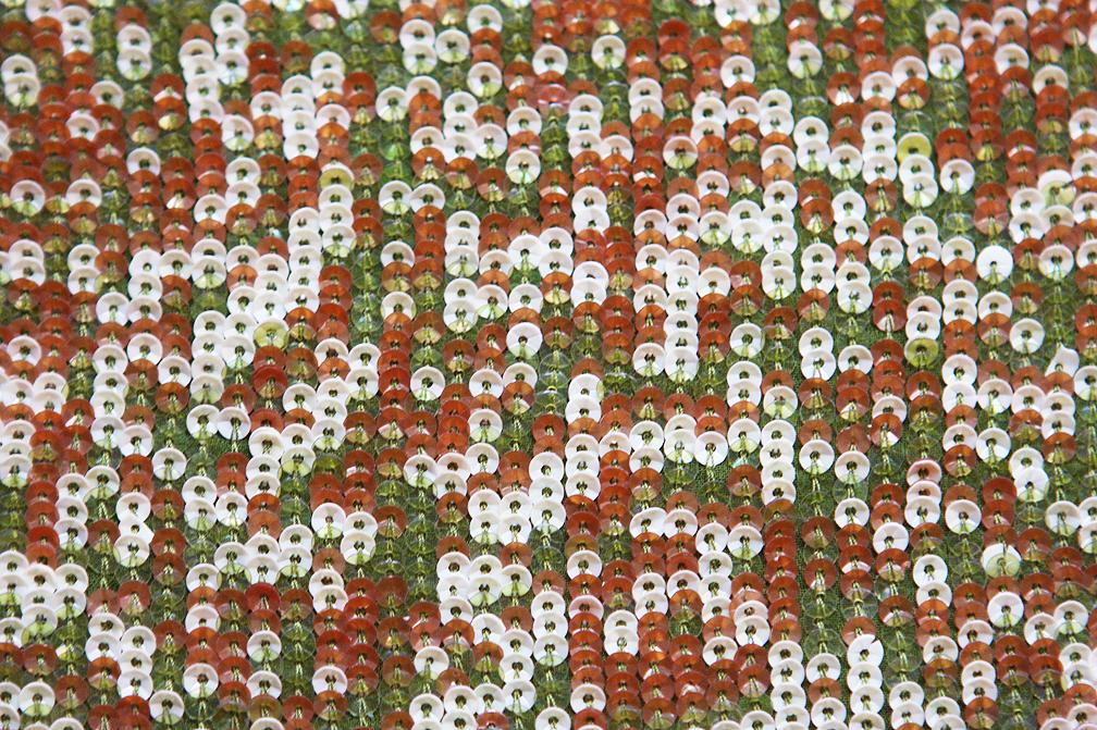 Sequins on Silk Chiffon2